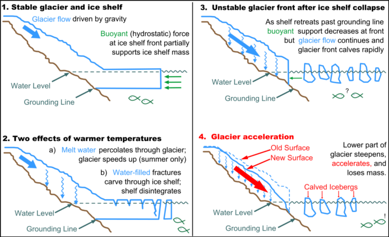 When ice shelves disintegrate, glaciers move out to sea. CREDIT: Ted Scambos and Michon Scott, National Snow and Ice Data Center