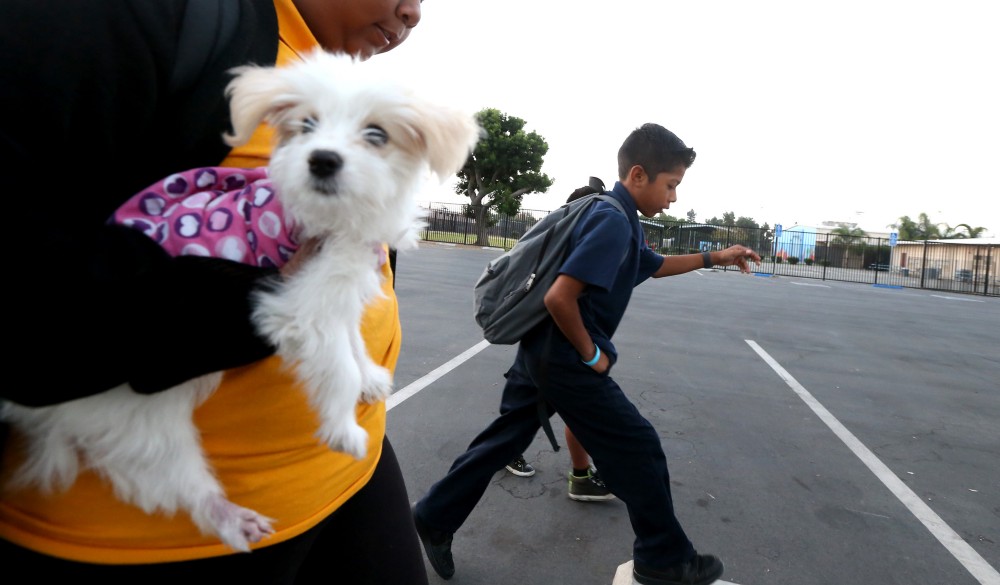 Cesar Gaspar heads to school with his younger brother and older sister, who carries the family’s pet dog in her arms. CREDIT: Daniel A. Anderson for ThinkProgress