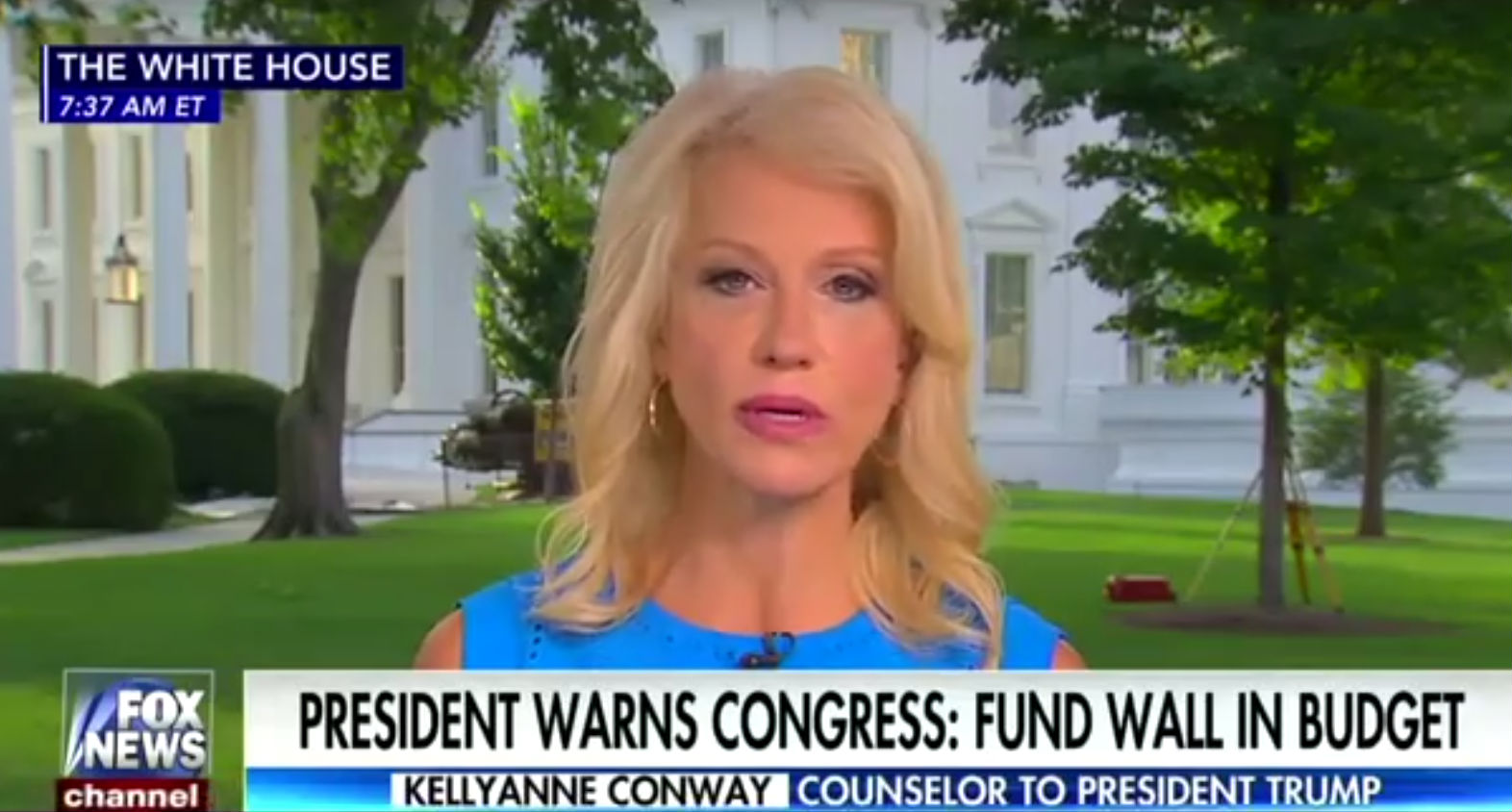 CREDIT: FOX NEWS SCREENGRAB