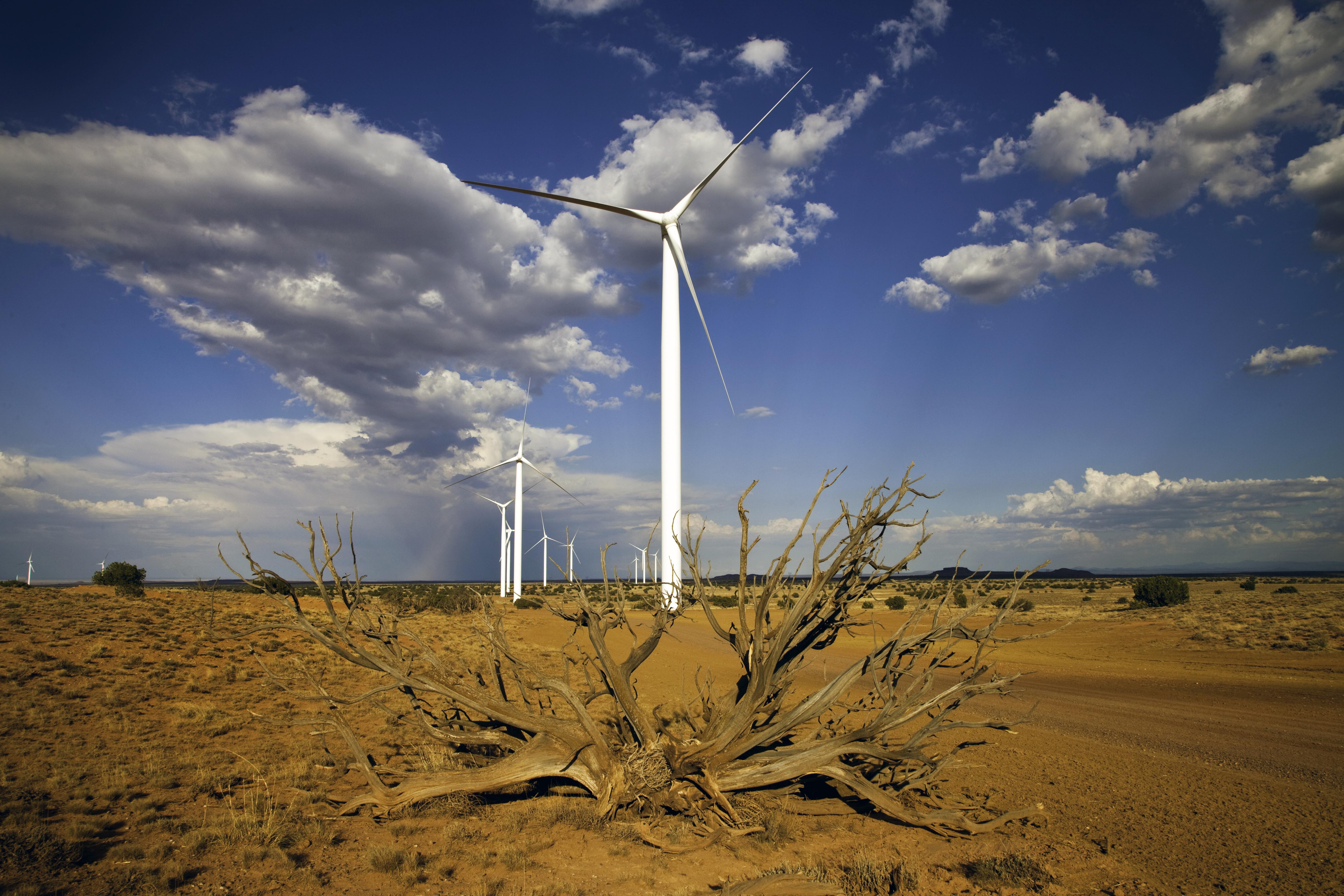 The Dry Lake Wind Power Project in Arizona. CREDIT: Department of Energy