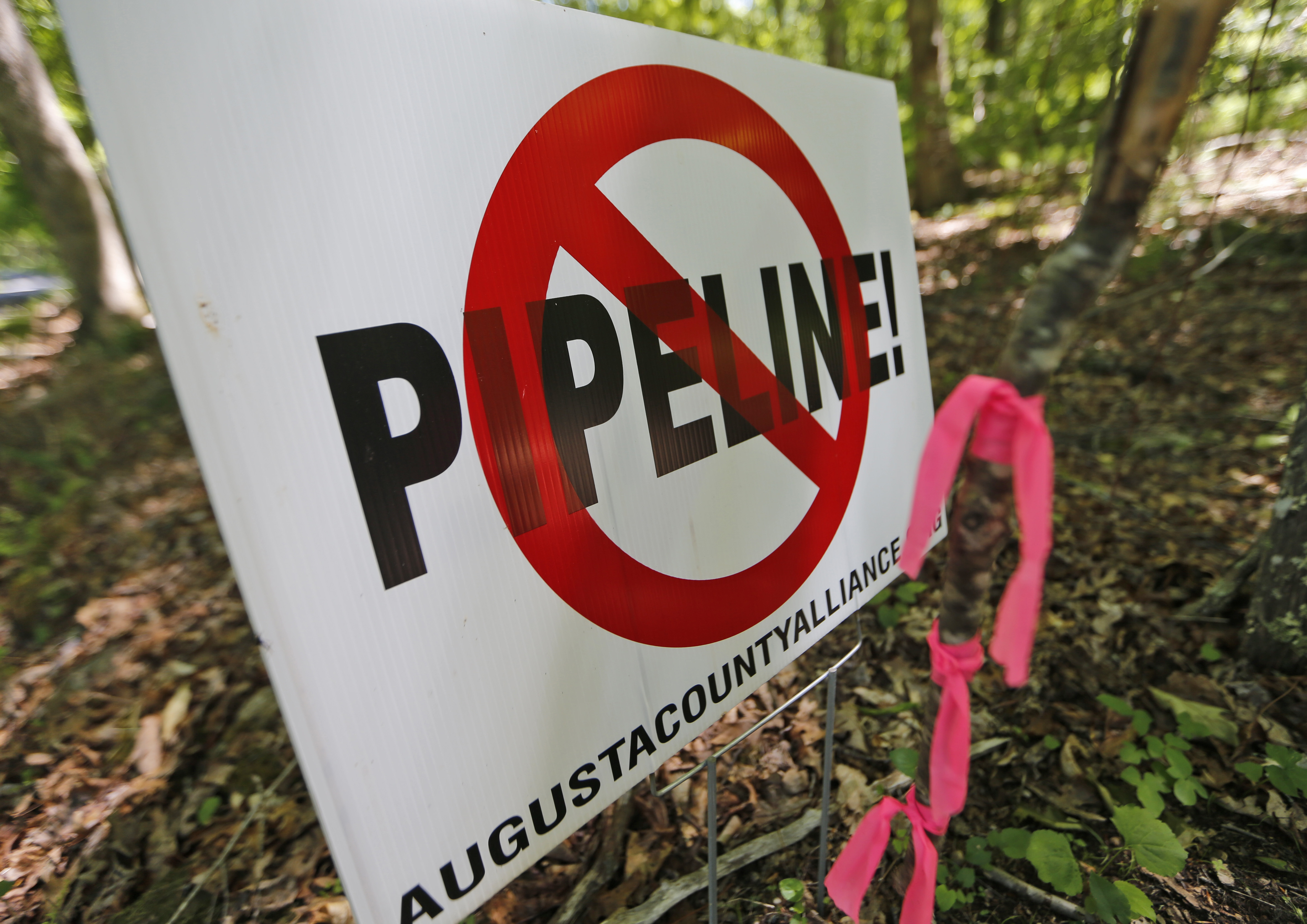 Residents along the proposed route of the Atlantic Coast Pipeline post signs opposing the project. CREDIT: AP Photo/Steve Helber