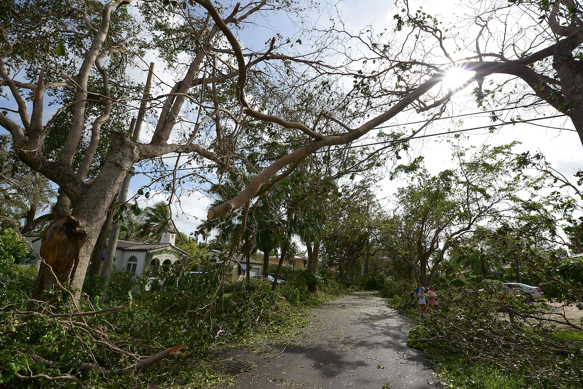 Damage to Florida Power & Light distribution lines from Hurricane Irma in Miami on September 11, 2017. CREDIT: Florida Power & Light