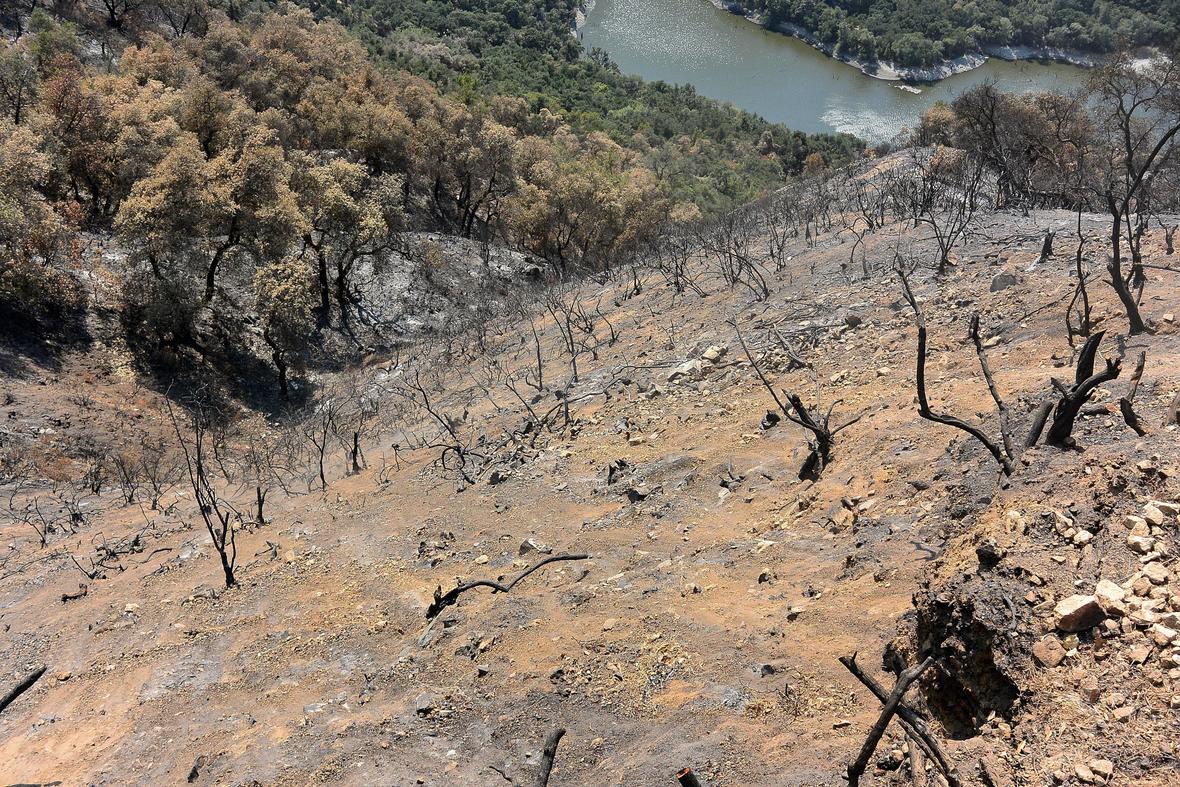Potential sediment erosion on a slope from a wildfire over the Los Padres reservoir in California. CREDIT: U.S. Forest Service