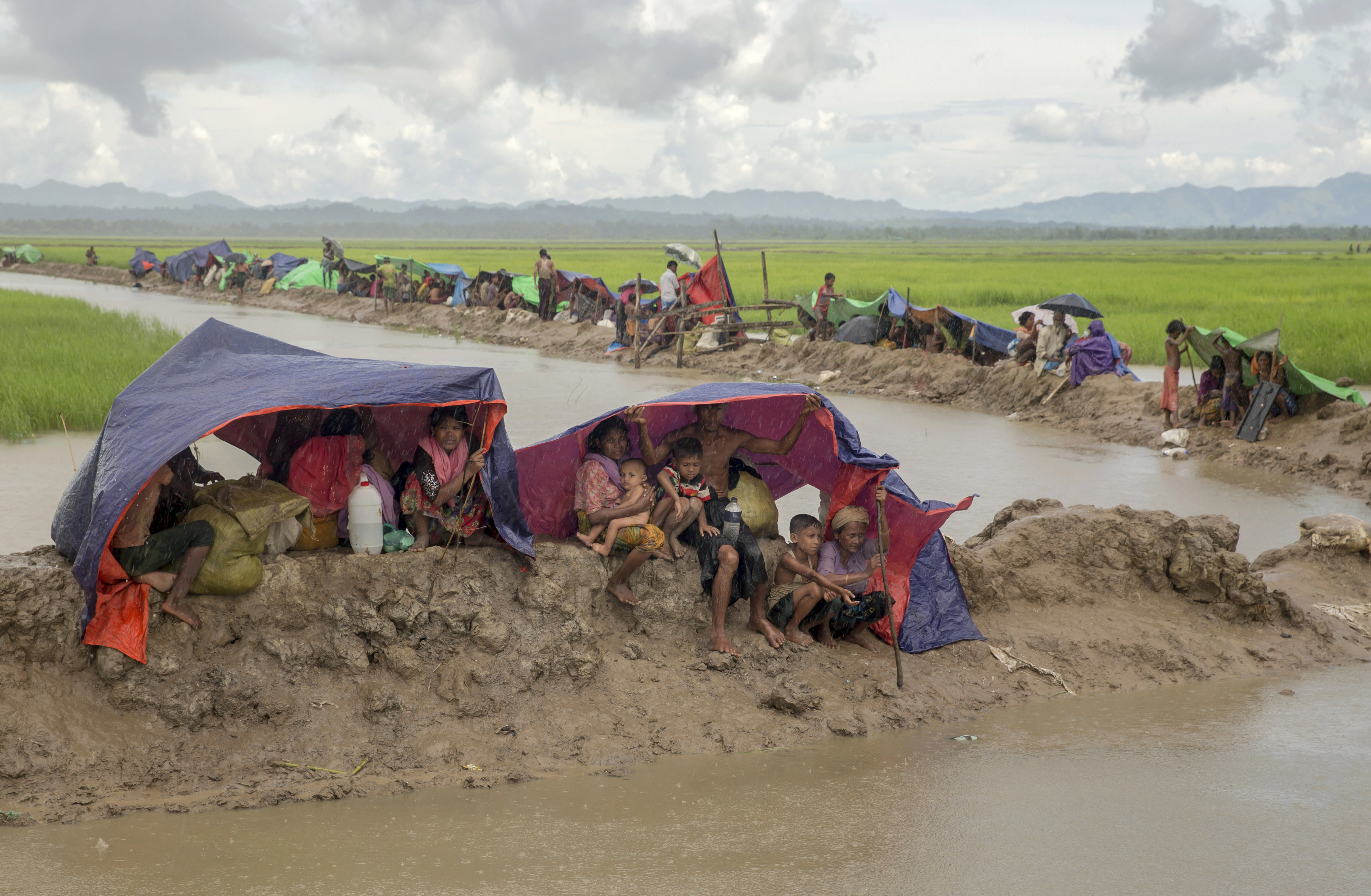 Newly arrived Rohingya Muslims sit in the rain covering themselves with plastic sheets after Bangladesh border guard soldiers prevented them from moving ahead towards refugee camps at Palong Khali, Bangladesh, Tuesday, Oct. 17, 2017. CREDIT: Dar Yasin/AP Photo.