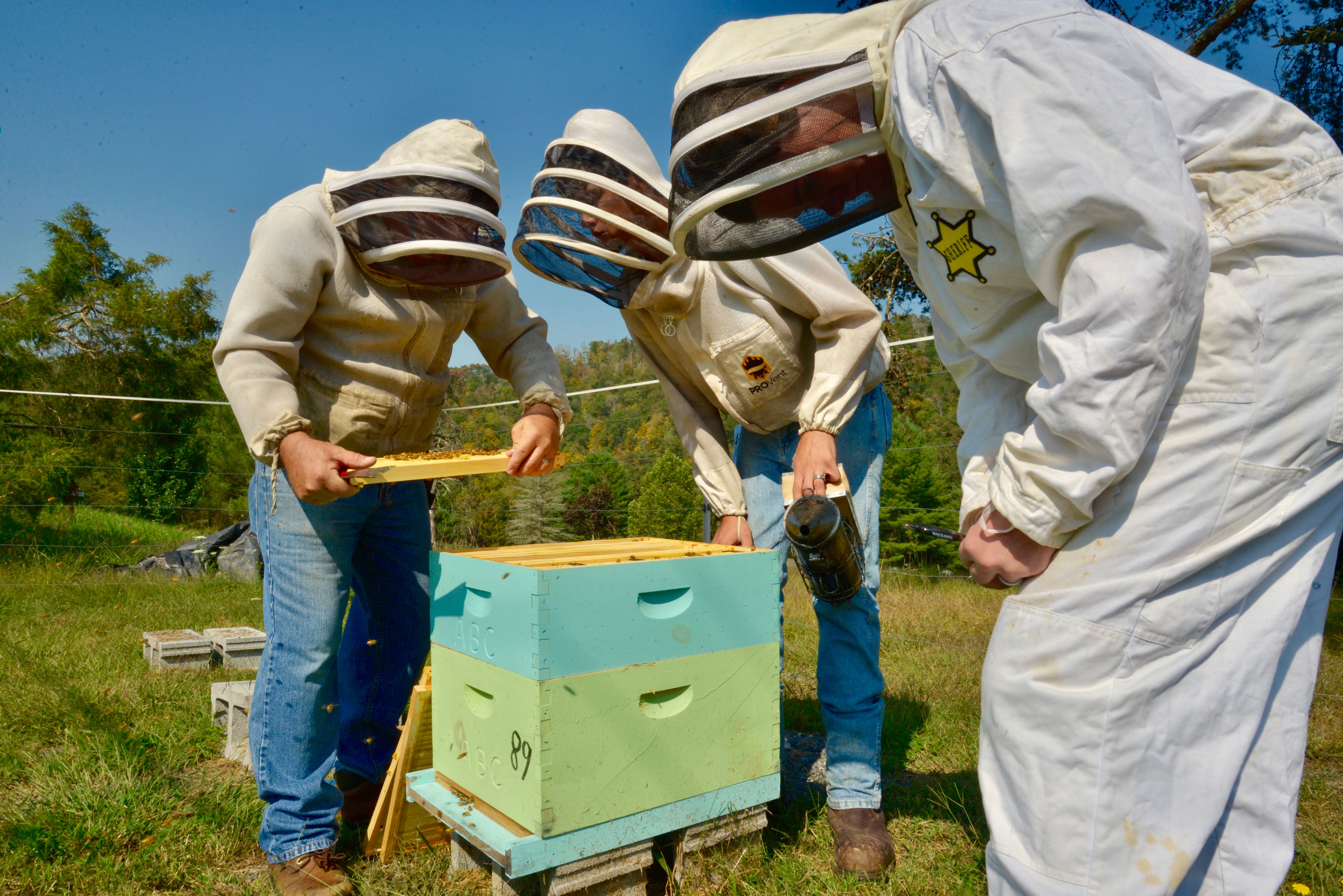 Appalachians learn beekeeping skills