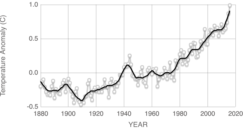 The average global temperature has risen around 1 degree C since the industrial era.