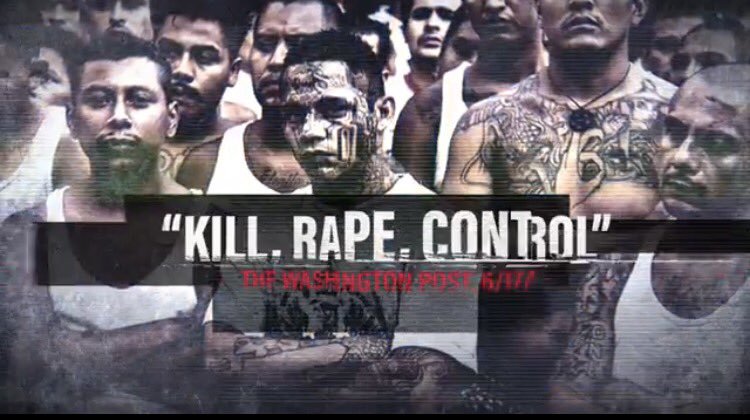 CREDIT: Screenshot from Ed Gillespie ad.