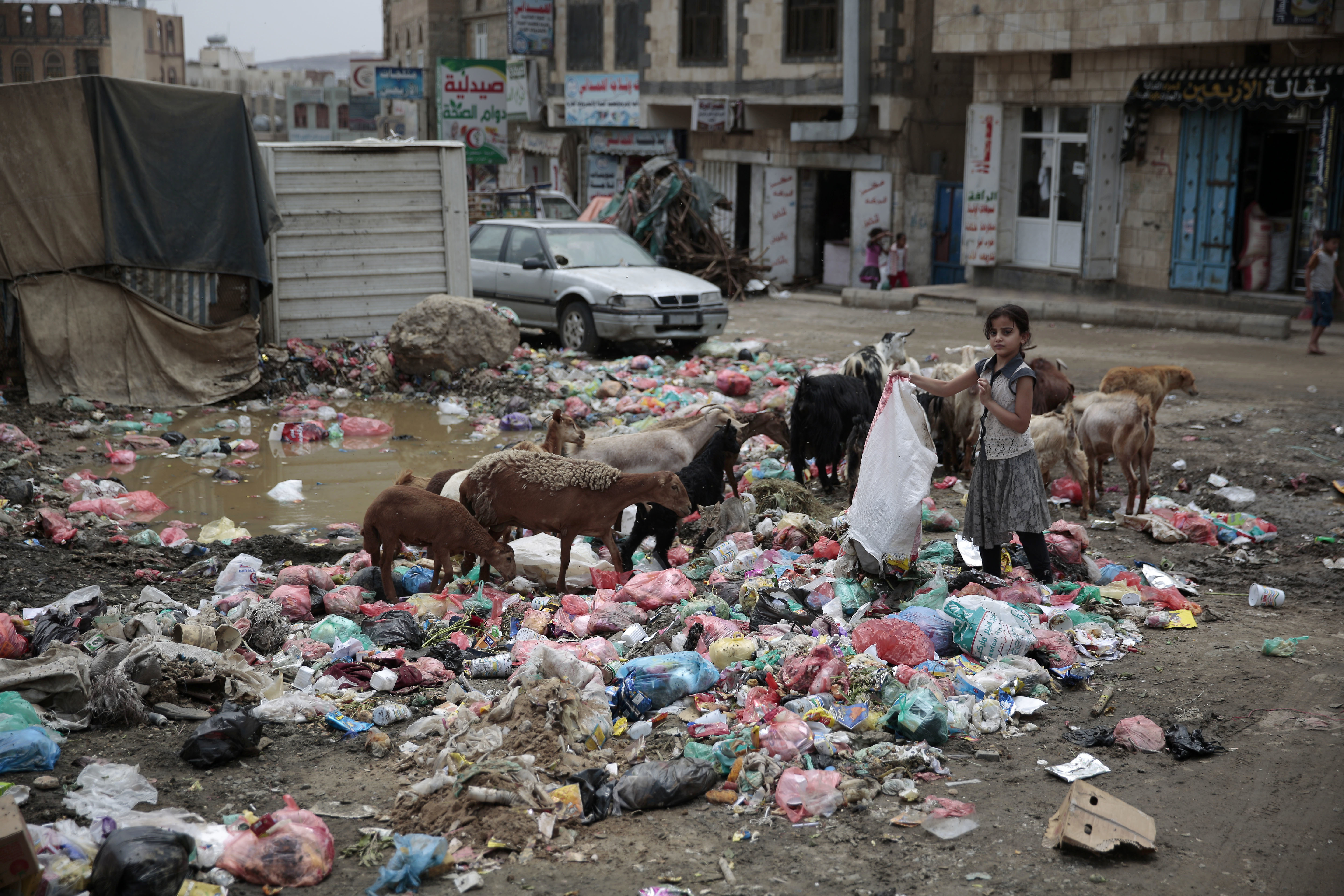 A girl scavenges for recyclable items at a garbage dump in a street in Sanaa, Yemen. Yemen’s raging two-year conflict has served as an incubator for lethal cholera. CREDIT: Hani Mohammed/AP Photo.