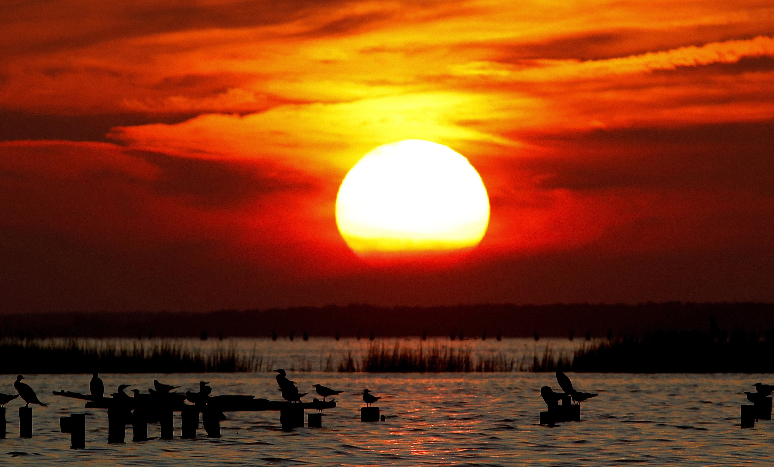 The Bay Journal filed a lawsuit against the EPA seeking records about the agency's termination of a grant for the newspaper, which publishes stories about the Chesapeake Bay. CREDIT: AP Photo/Ron Edmonds