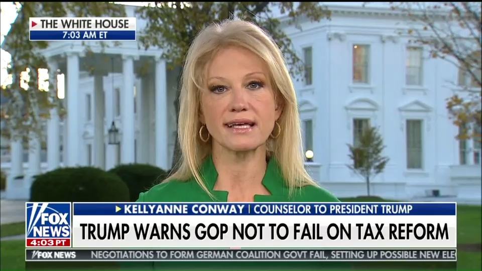 Kellyanne Conway on "Fox & Friends", Monday, November 20, 2017. (CREDIT: Fox & Friends)
