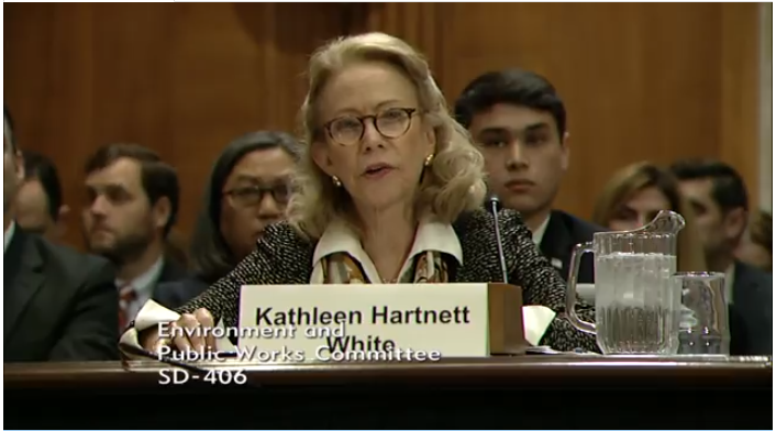 Kathleen Hartnett White speaks on November 8, 2017 at her confirmation hearing to lead the Council on Environmental Quality. CREDIT: screenshot/Senate EPW committee
