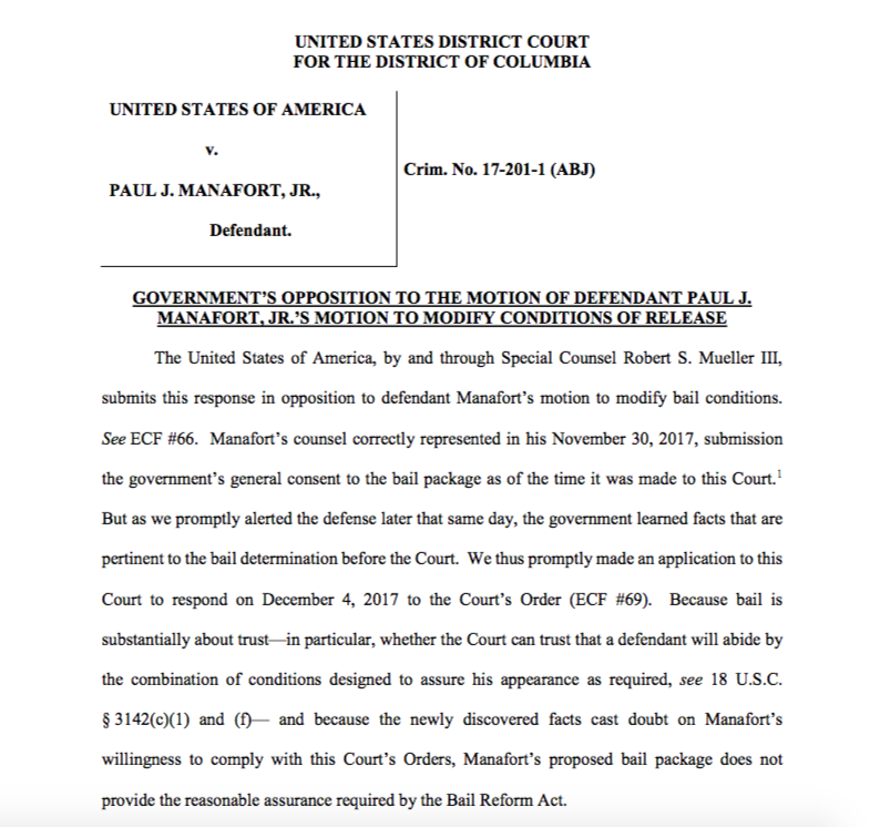 Screengrab of Mueller's court filing