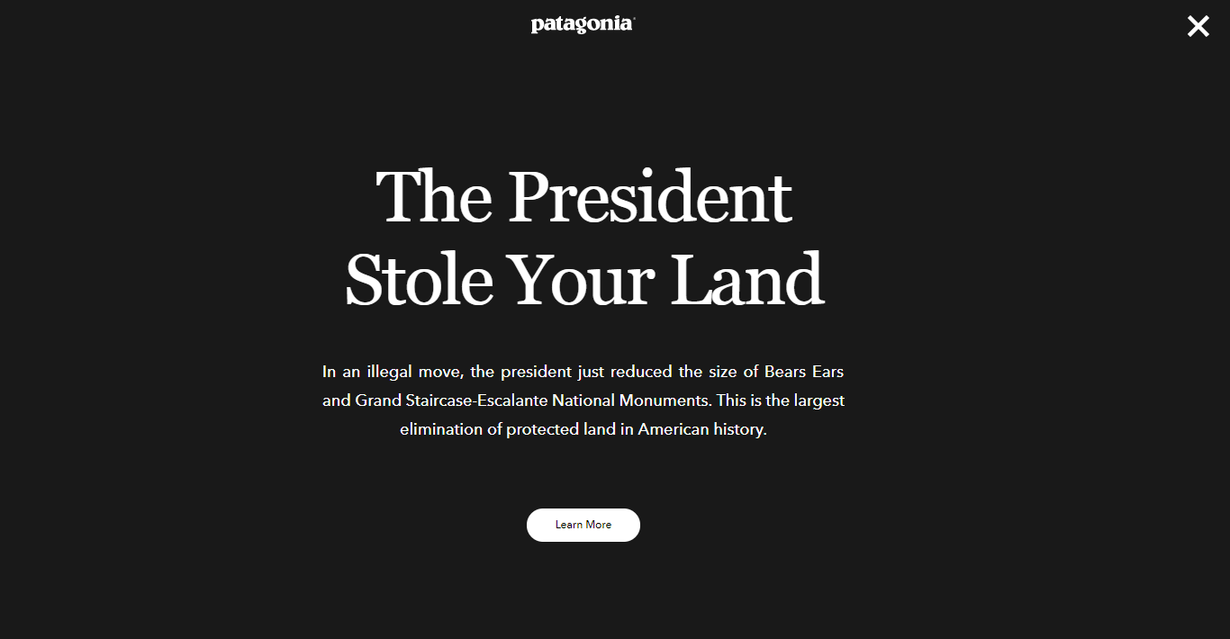 Patagonia.com after Trump's announcement about Bears Ears. (CREDIT: Patagonia)