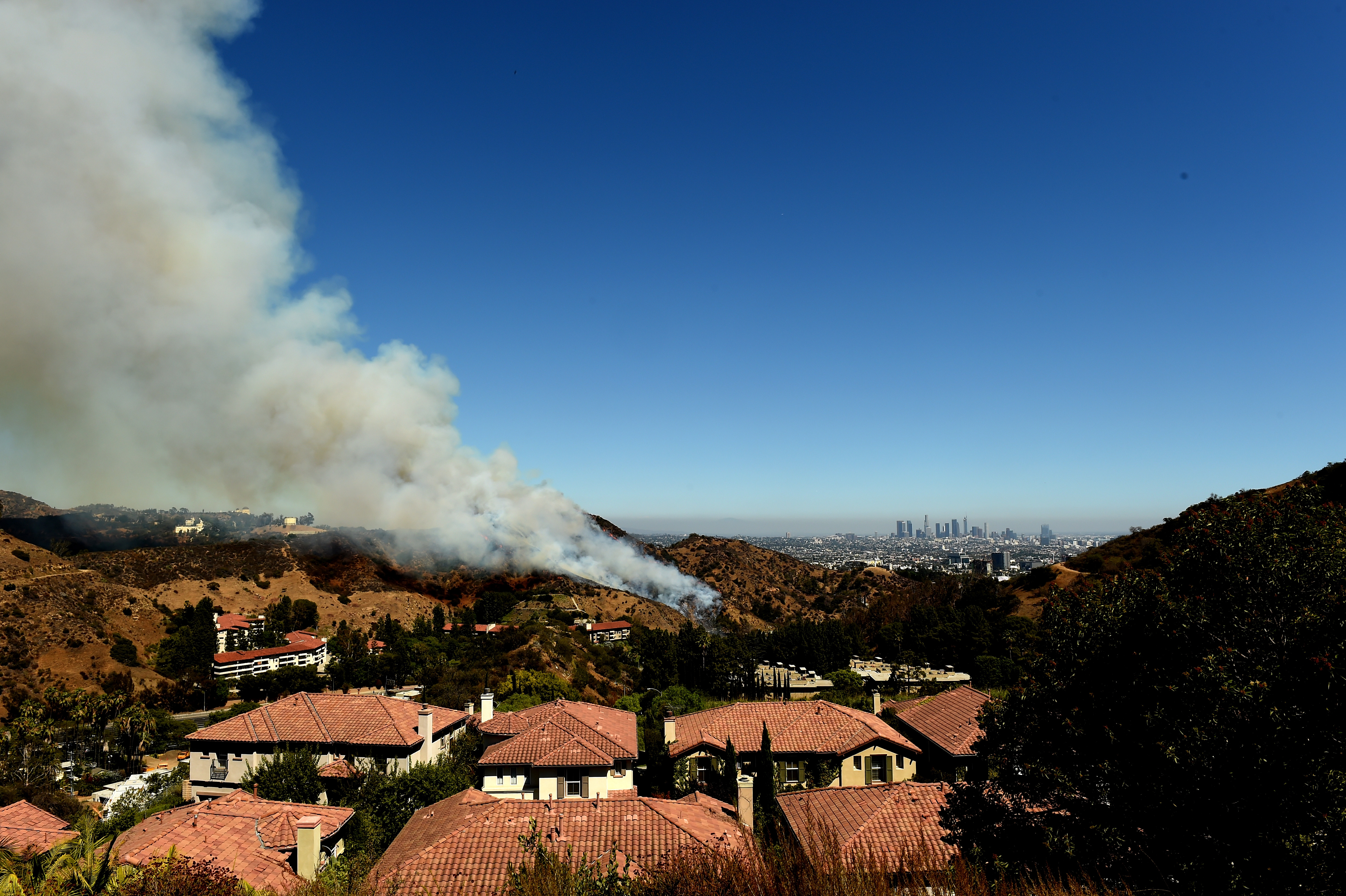A wildfire burns in the Hollywood hills in Los Angeles, CA. (CREDIT: Photo by Kevin Winter/Getty Images)