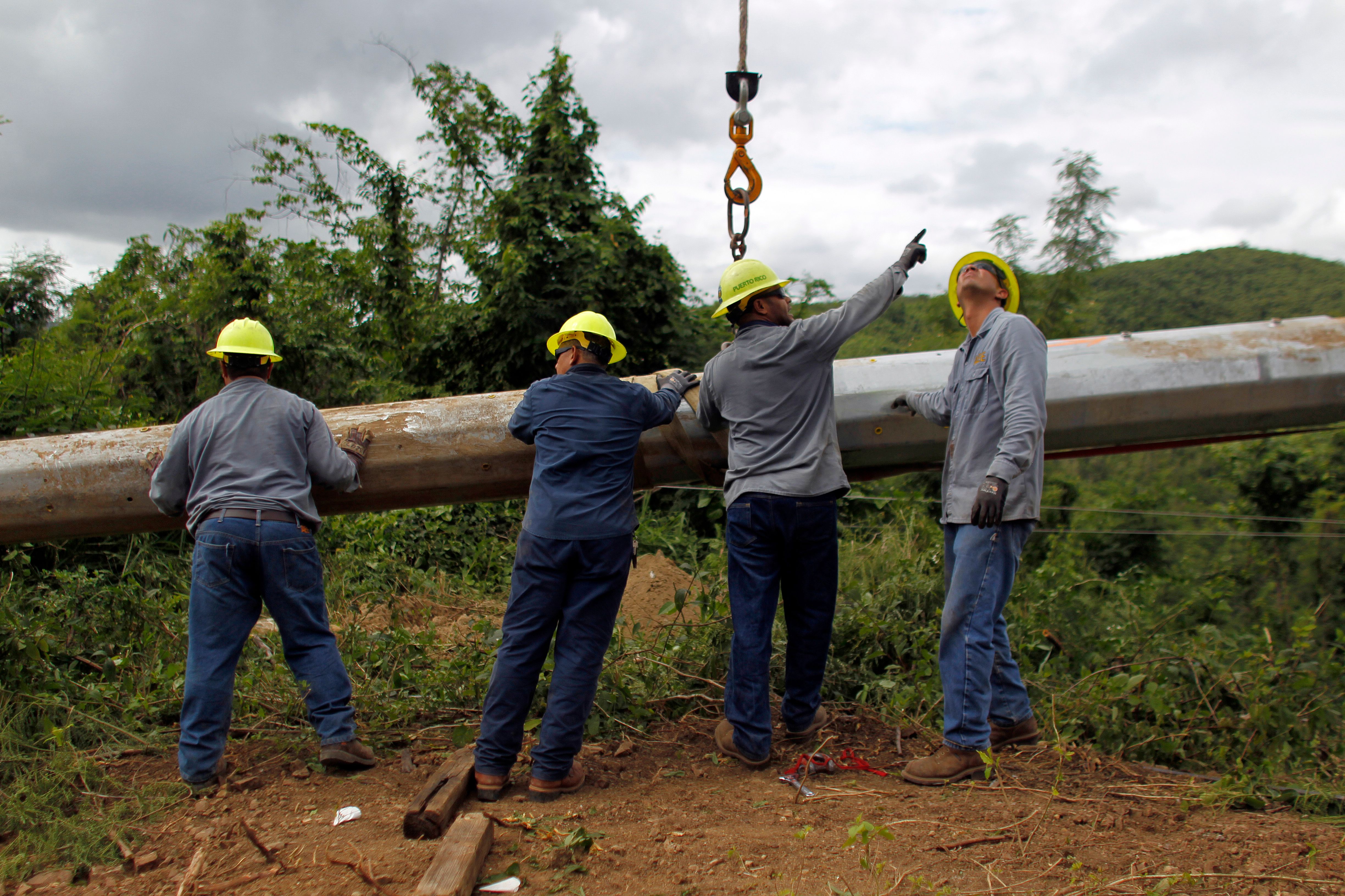 PREPA workers guide a utility pole raised with a crane to repair a downed electric transmission line in Ponce, Puerto Rico on November 29, 2017. CREDIT: RICARDO ARDUENGO/AFP/Getty Images