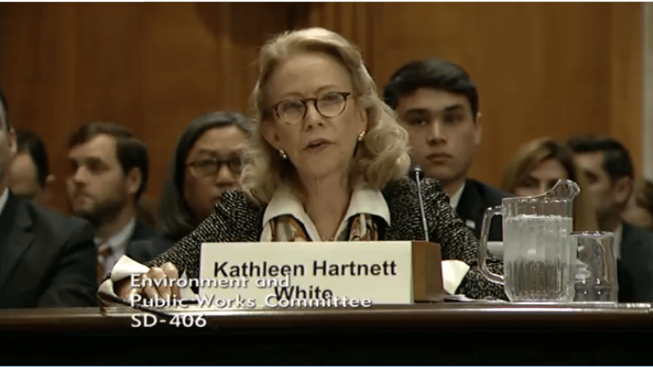 Kathleen Hartnett White. CREDIT: Screenshot