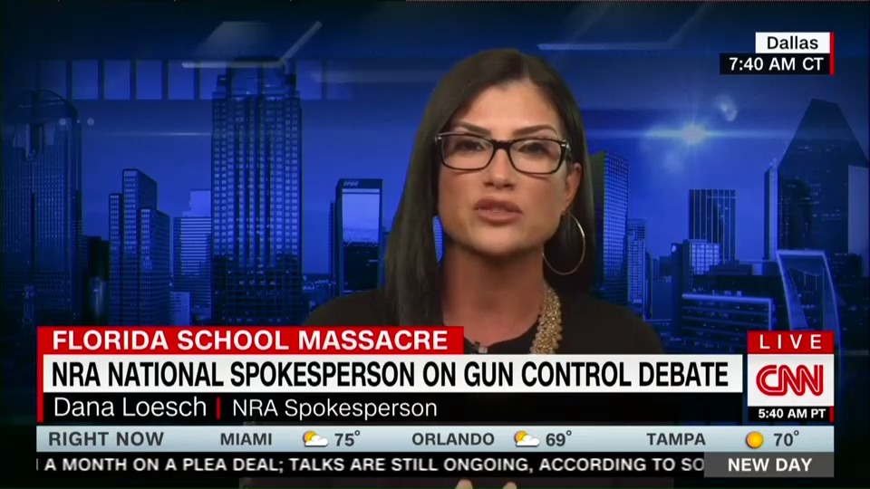 NRA national spokesperson Dana Loesch