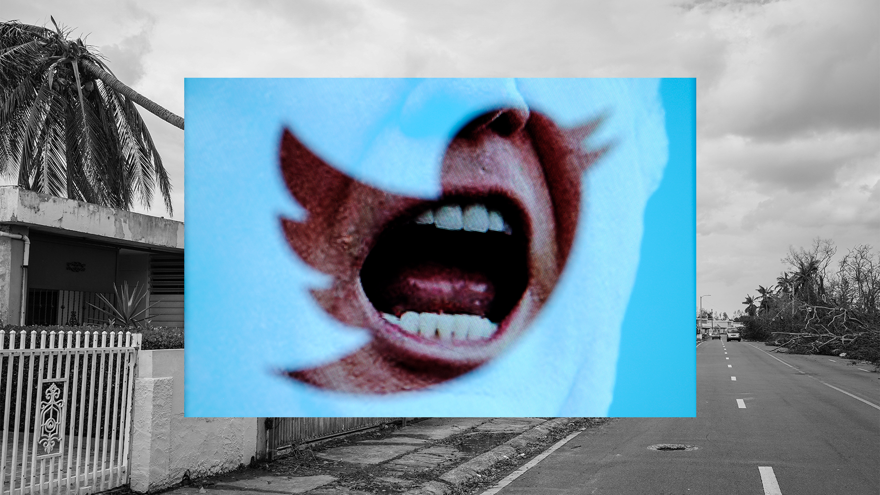 Getty Images / Diana Ofosu