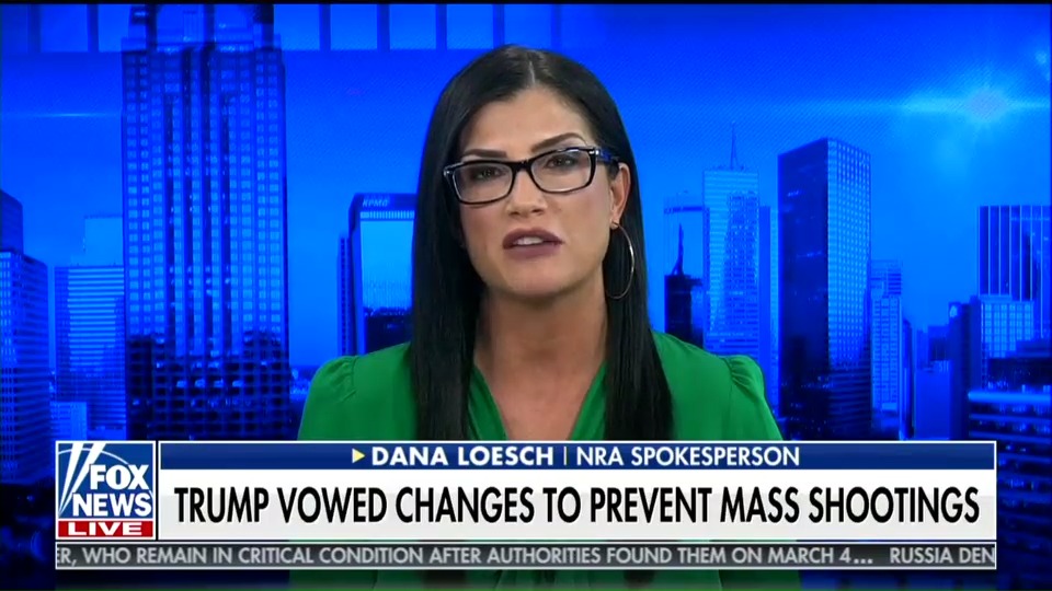 NRA national spokesperson Dana Loesch