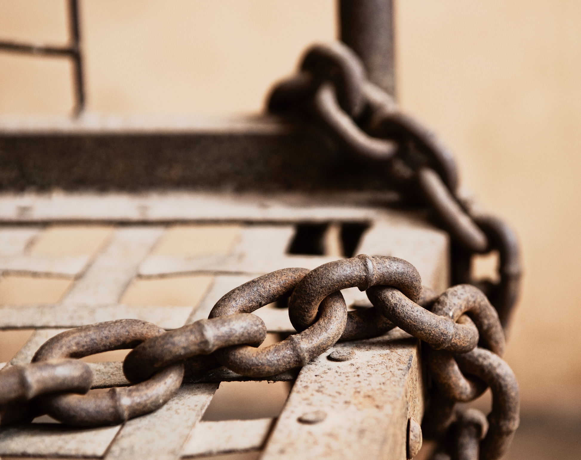 CREDIT: Keri Oberly via Getty Images