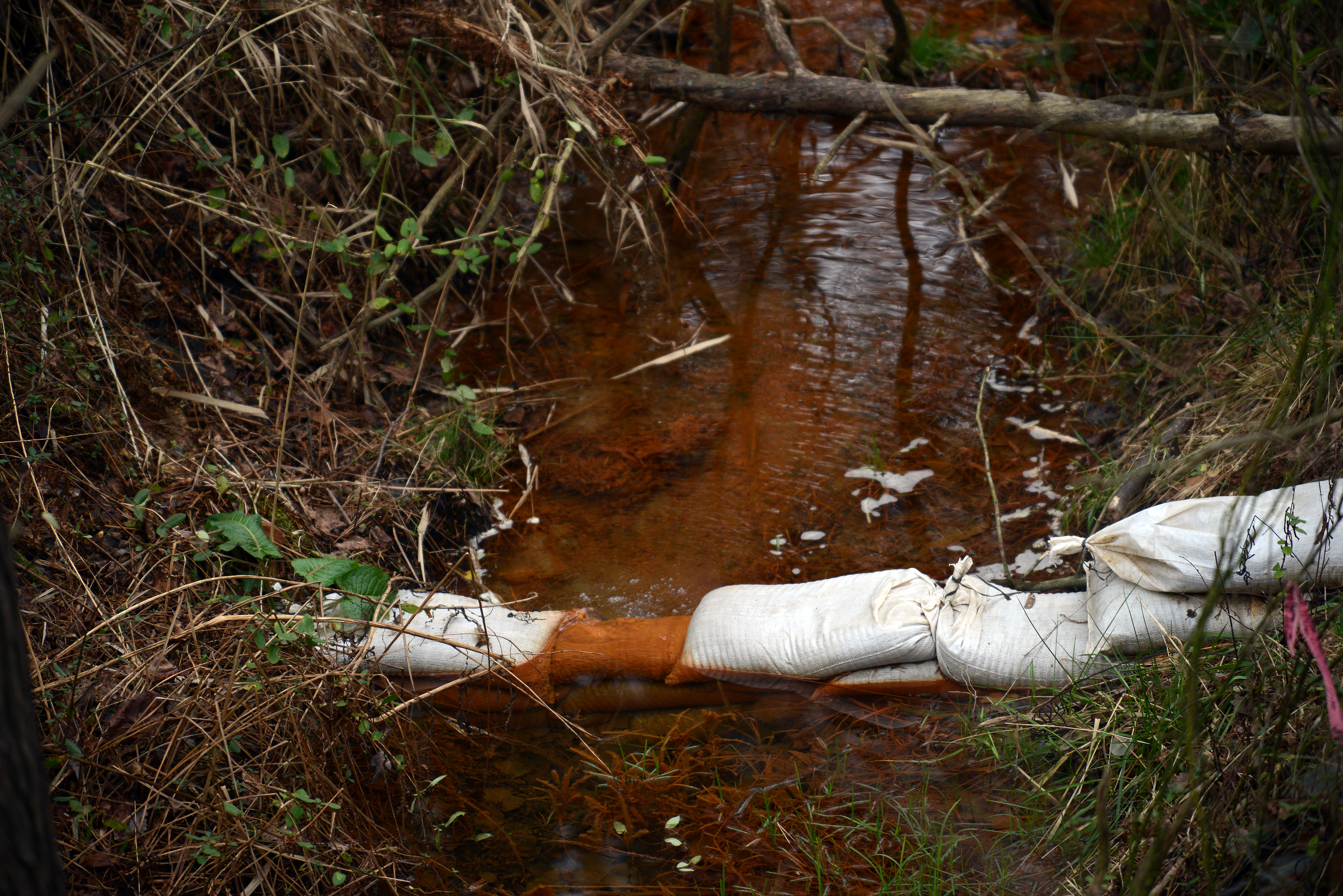 Coal ash contaminated water, which is colorized from the heavy metals, in Dumfries, Virginia. (CREDIT: Astrid Riecken For The Washington Post via Getty Images)