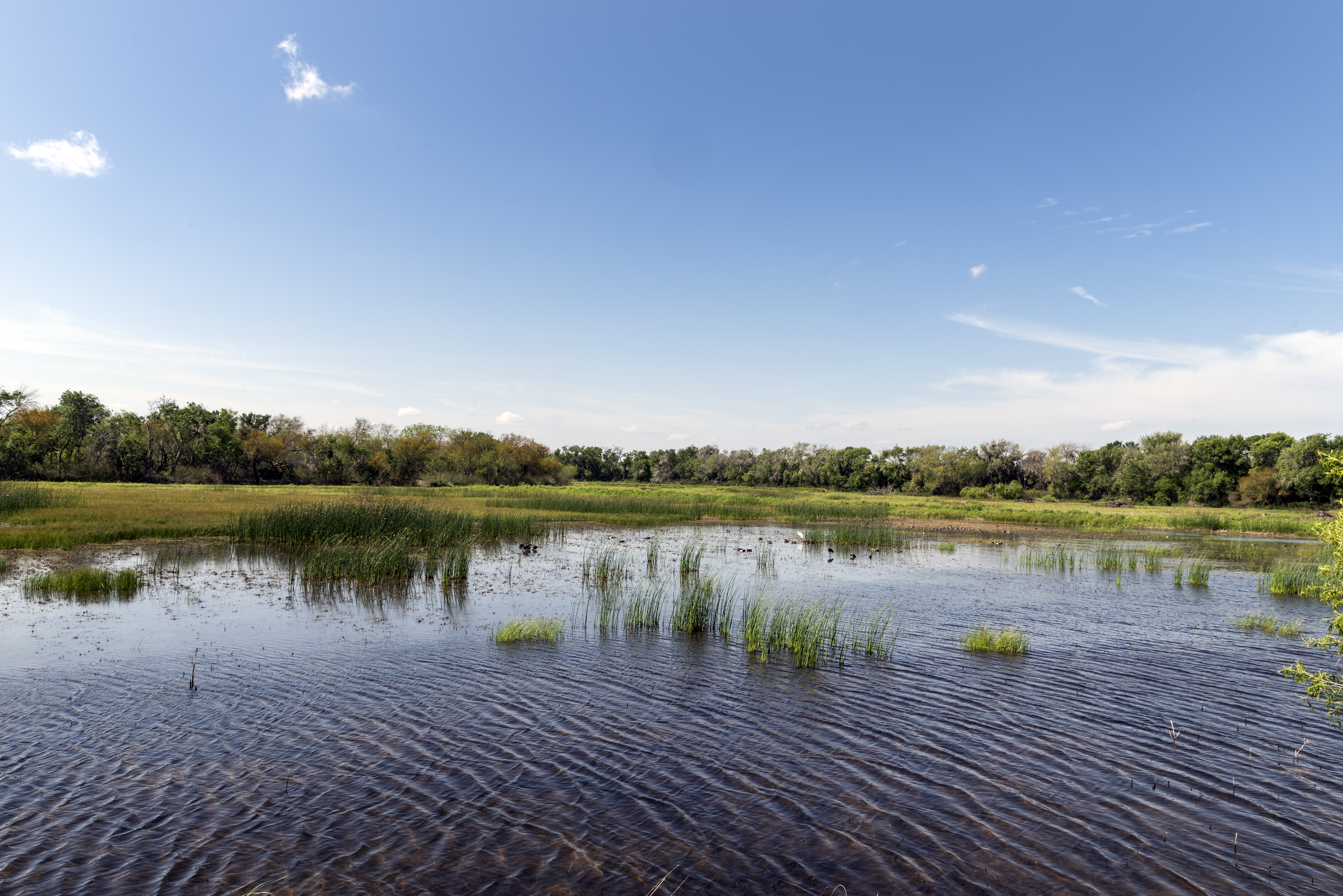 A marsh within the Santa Ana National Wildlife Refuge. The border wall was slated to run through the refuge, but Congress has complicated that path. (CREDIT: Carol M. Highsmith/Buyenlarge/Getty Images)