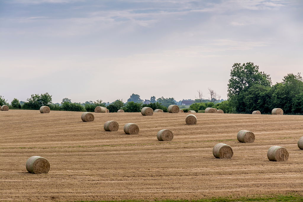 Talk of a trade war has left businesses in the Heartland and Appalachia worried. (CREDIT: Education Images/UIG via Getty Images)