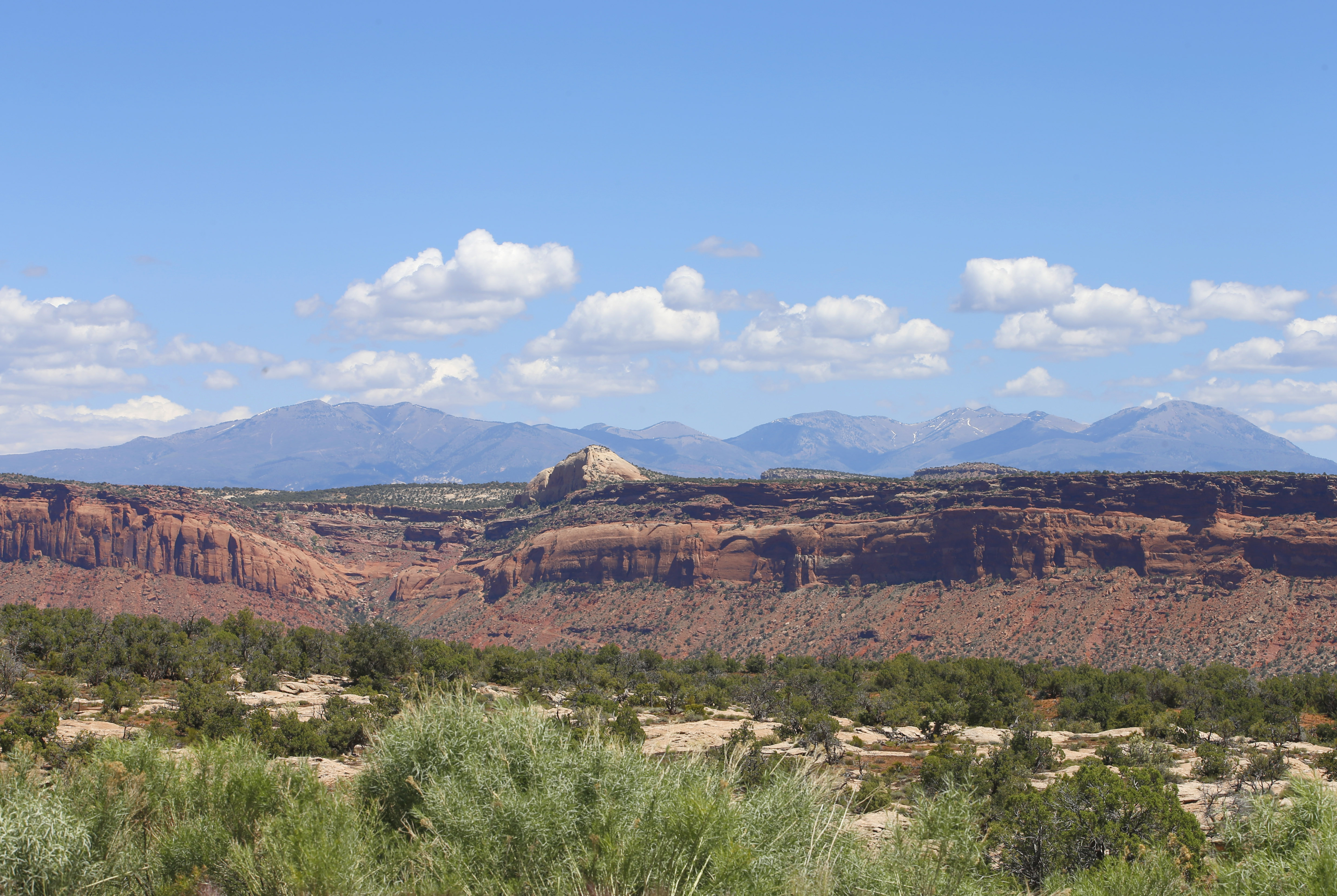 The Bureau of Land Management auctioned off 43 parcels of public land outside of what used to be the boundary of Bears Ears National Monument, in Utah. CREDIT: George Frey/Getty Images.