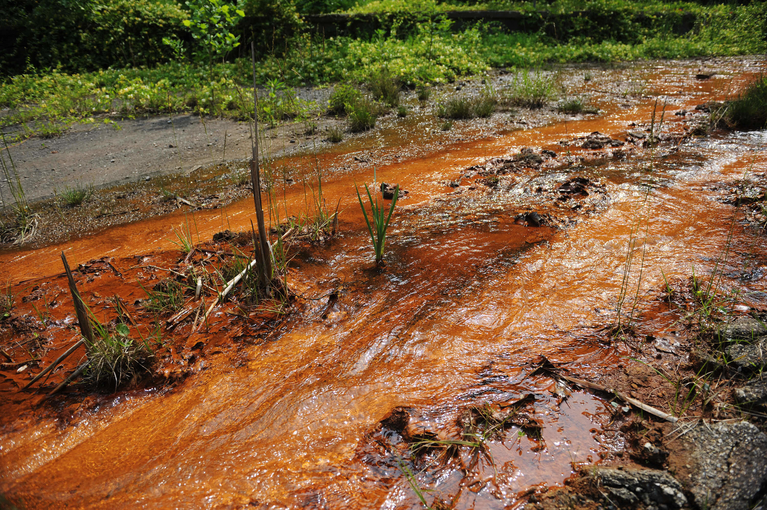 Highly toxic PCBs have contaminated streams, drinking water, and soil in the town of Minden, West Virginia. CREDIT: MANDEL NGAN/AFP/Getty Images.