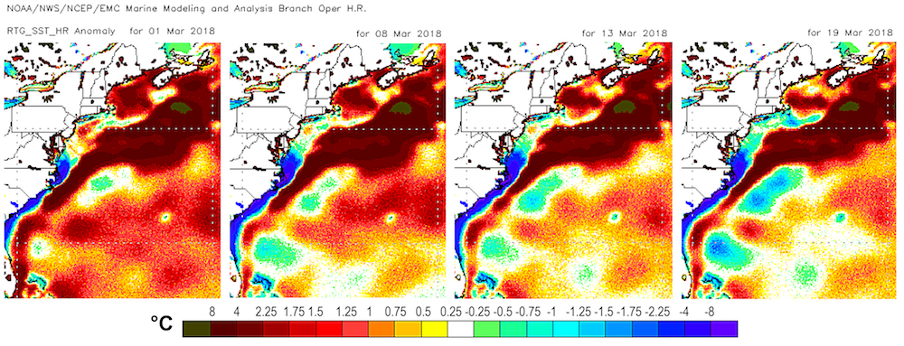 Maps of North Atlantic sea surface temperatures (compared to 1961 to 1990 average) prior to the four recent nor'easters. Credit: Climate Nexus