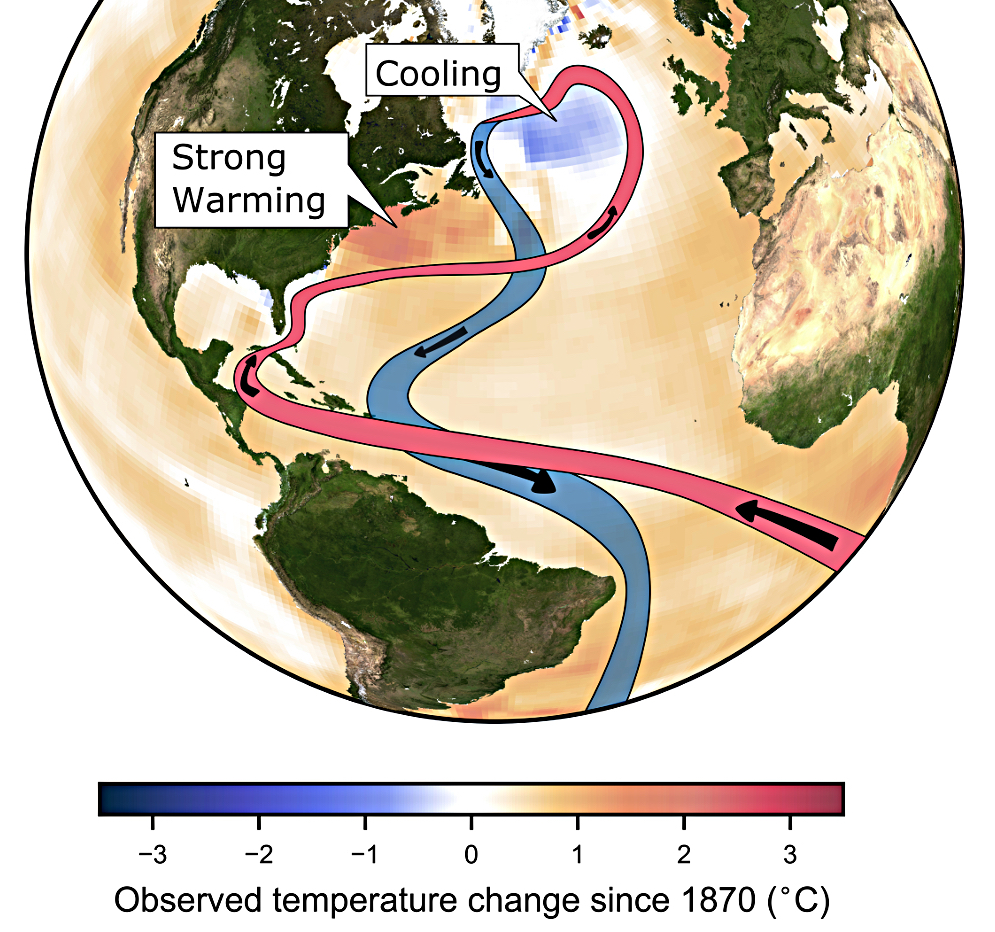The AMOC slowdown has begun warming up the waters off the mid-Atlantic and NE coast. CREDIT: Potsdam Institute.