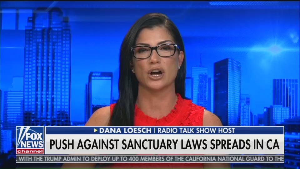 NRA National Spokesperson Dana Loesch