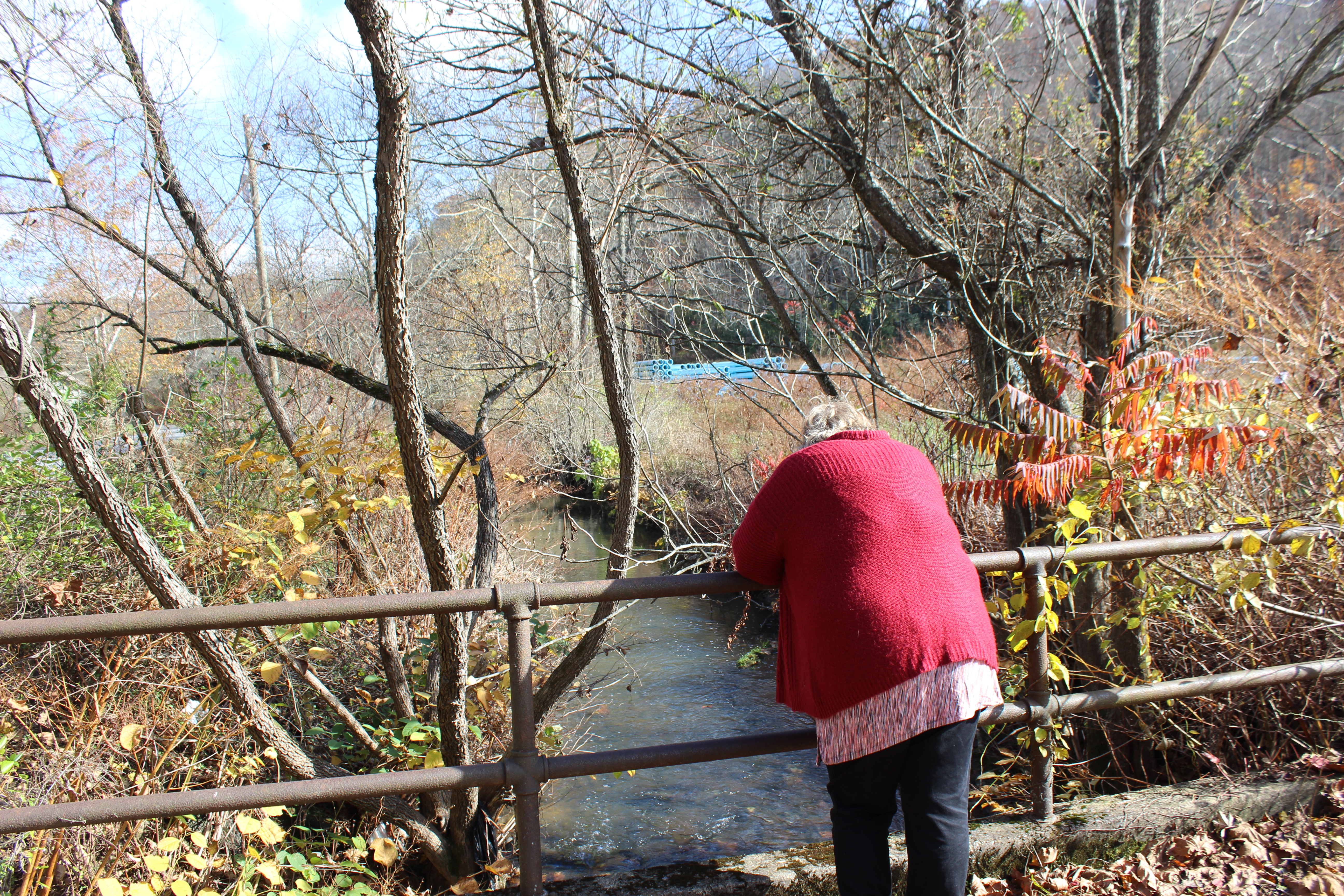 Susie Worley-Jenkins, a resident of Minden, West Virginia and member of the Minden Community Action Team, looks down at Arbuckle Creek, which runs through the town. CREDIT: MINDEN COMMUNITY ACTION TEAM, HEADWATERS DEFENSE