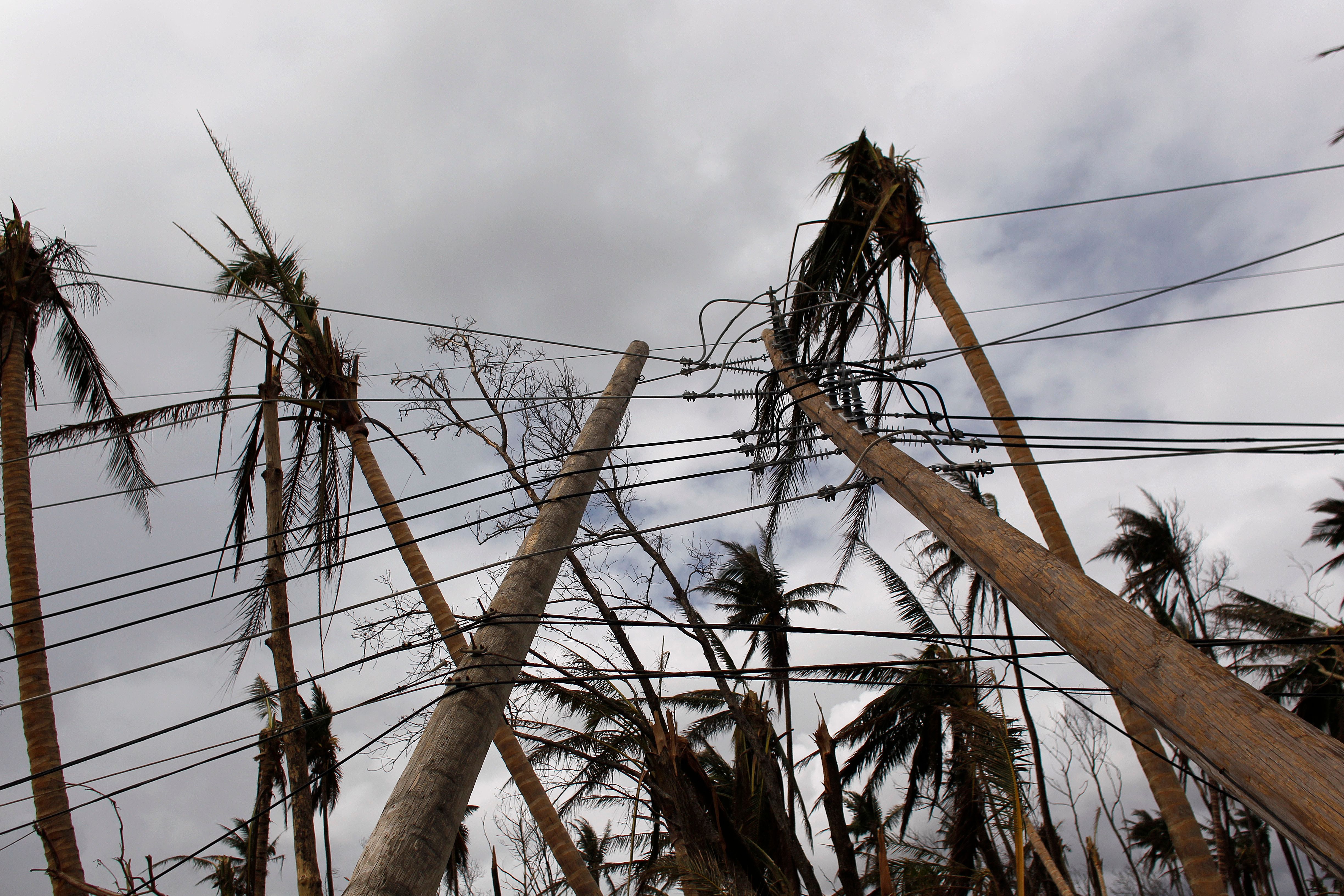 Downed power line poles are seen in the aftermath of Hurricane Maria in Humacao, Puerto Rico on October 2, 2017. CREDIT: RICARDO ARDUENGO/AFP/Getty Images