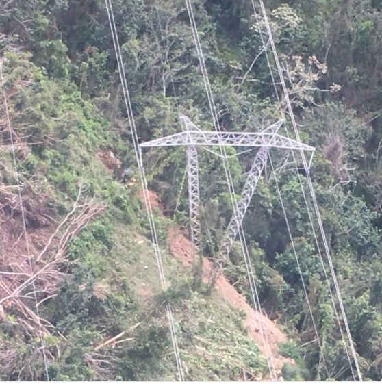 The Puerto Rico Electric Power Authority tweeted an image of a tree that fell across a power line near the southeast mountain town of Cayey, Puerto Rico. CREDIT: PREPA