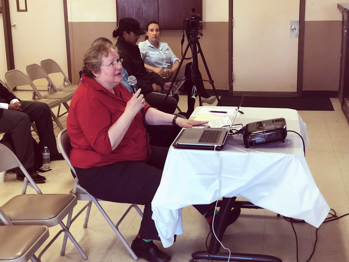 Patty Hansen testifies about voting in Coconino County CREDIT: Kira Lerner