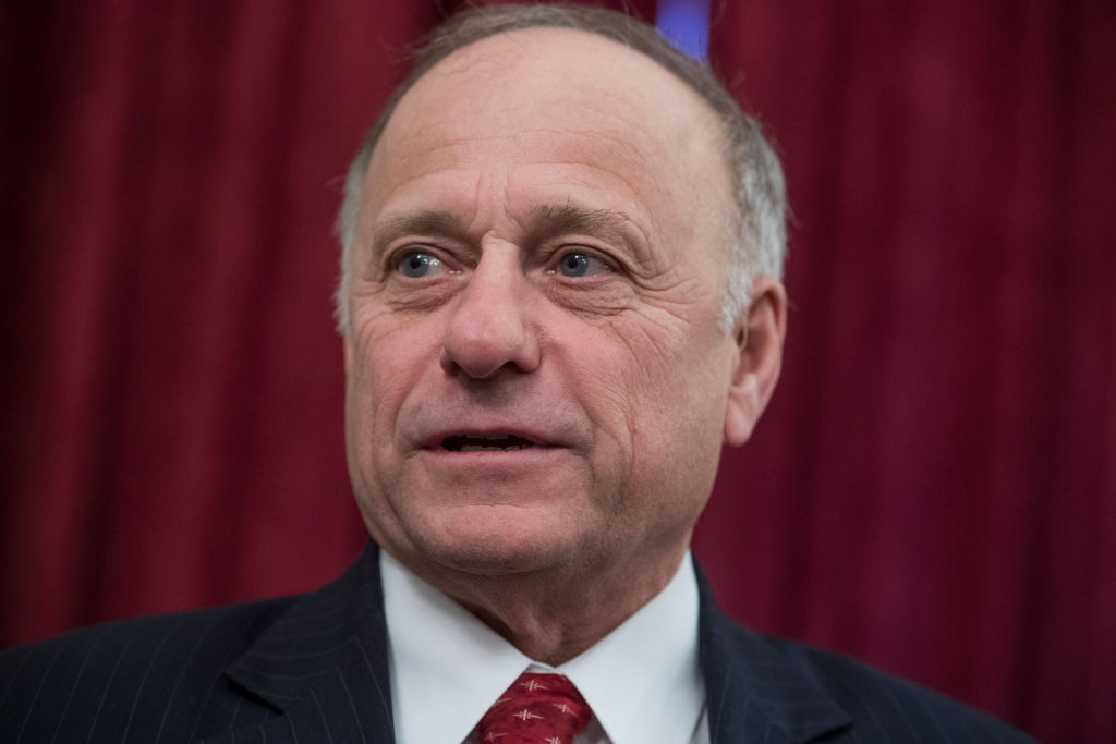 Rep. Steve King (R-IA). CREDIT: Tom Williams/CQ Roll Call/Getty Images