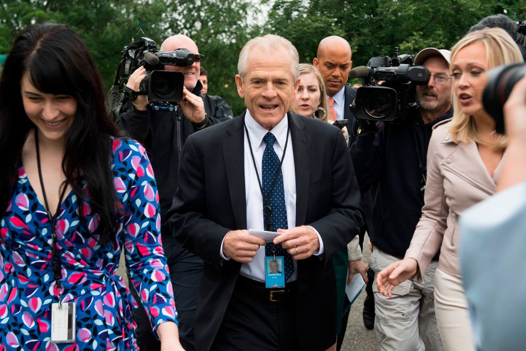 White House Director of Trade Policy Peter Navarro (Credit: JIM WATSON/AFP/Getty Images)