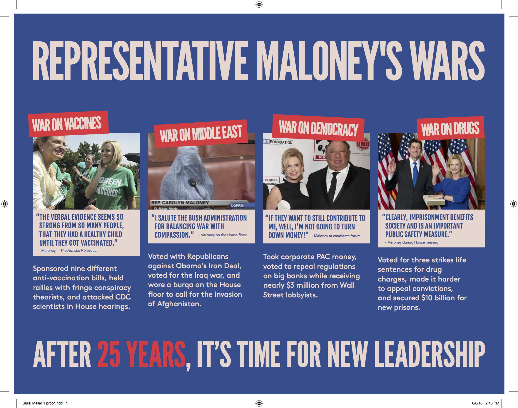 Patel campaign mailer via Patel campaign