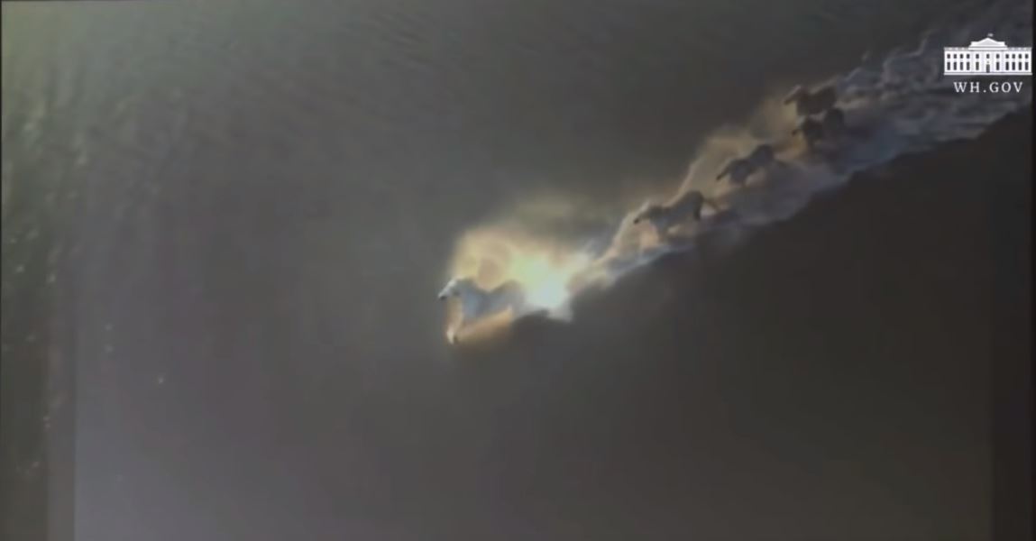 Horses for some reason. CREDIT: Screenshot of White House stream