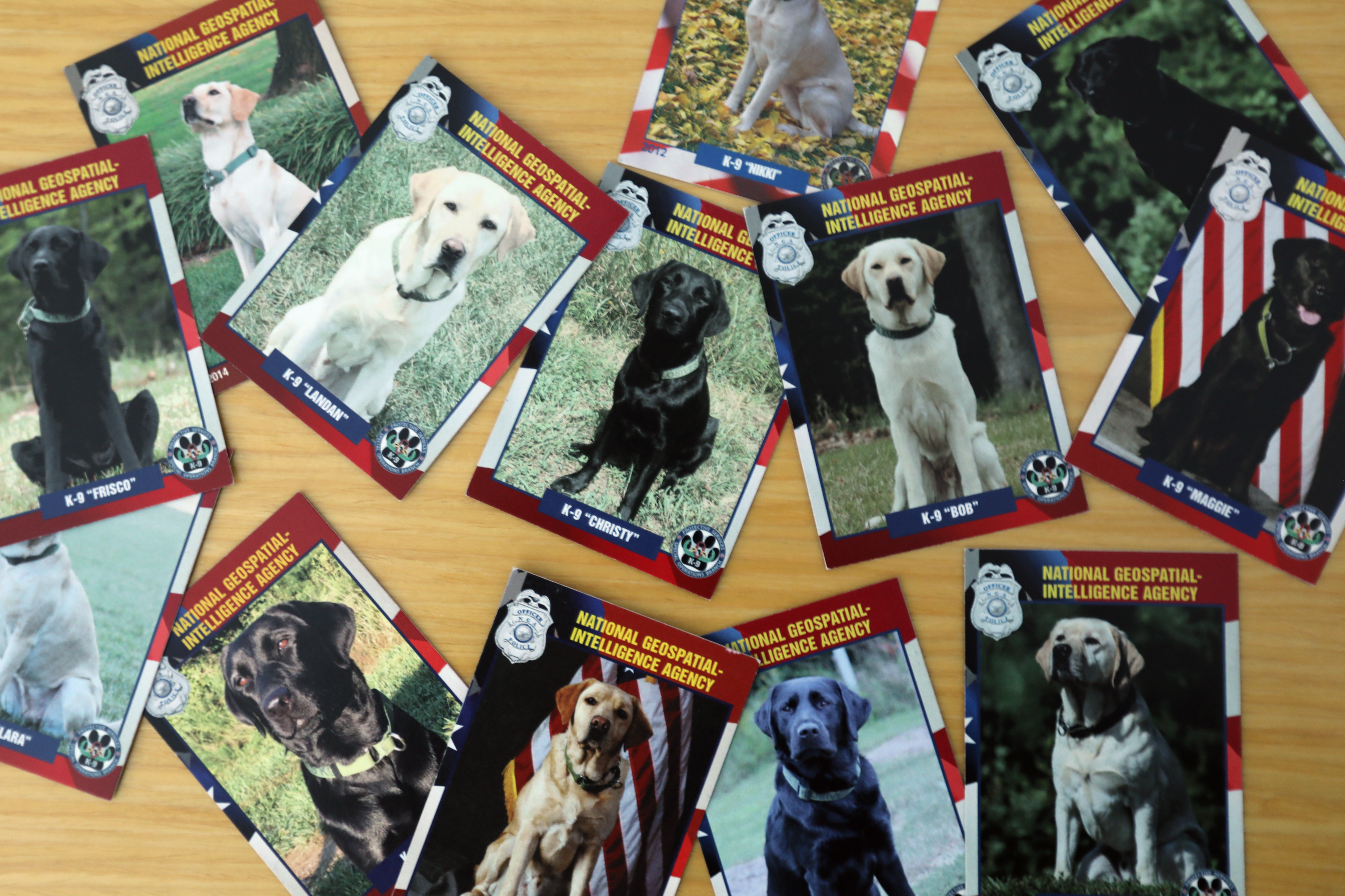 Trading cards for the National Geospacial Intelligence Agency Police's current roster of explosive detection canines. CREDIT: Victoria Fleischer/ThinkProgress