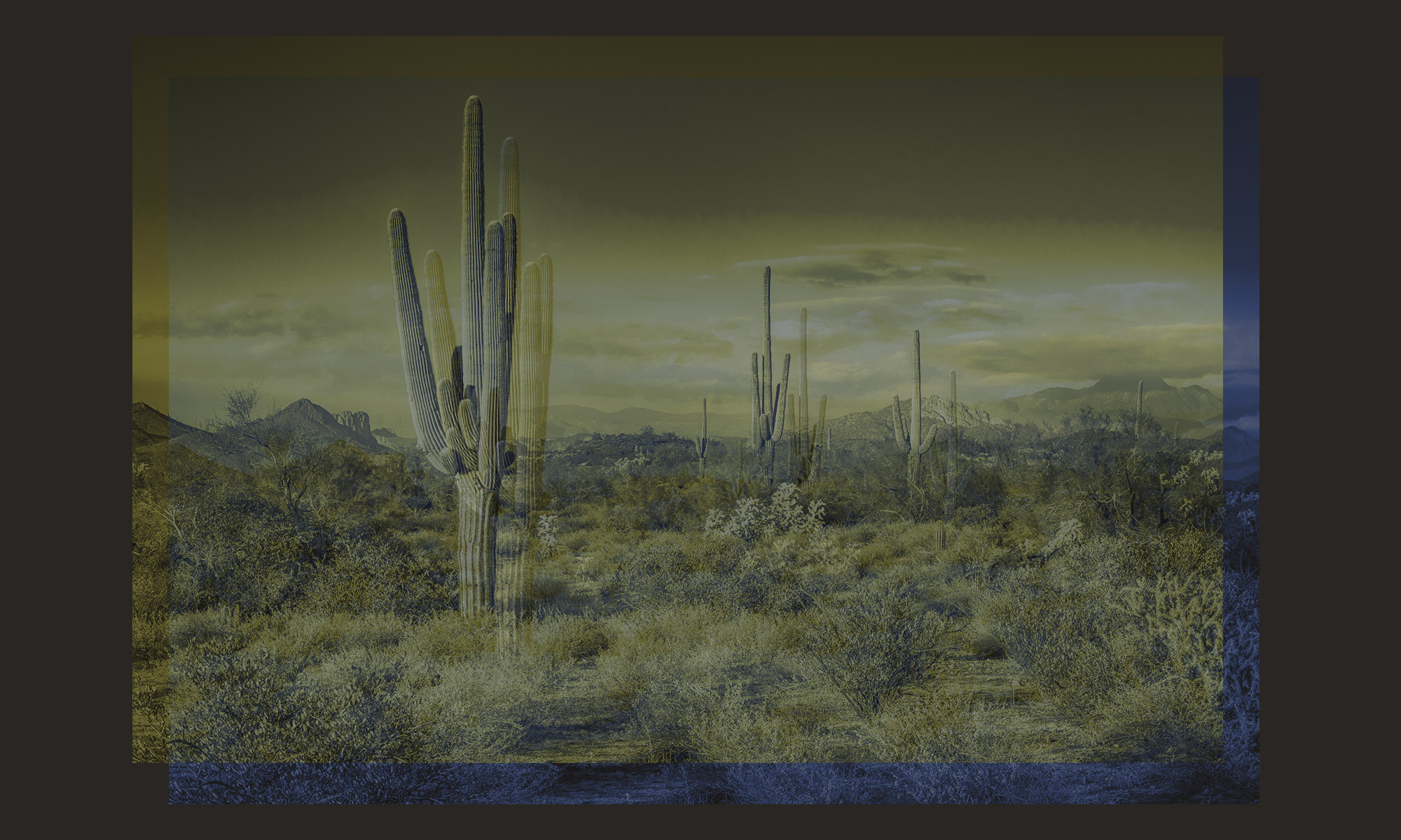 (PHOTO CREDIT: DIANA OFOSU, THINKPROGRESS)