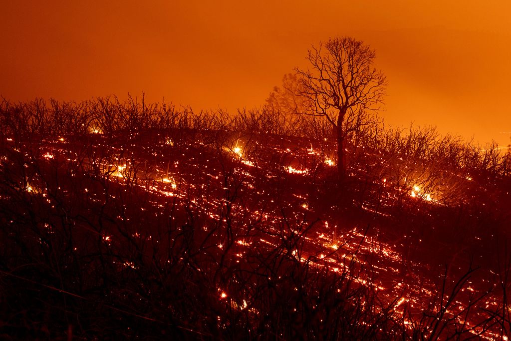 Embers smoulder from wildfires near Clearlake Oaks, California, on August 5, 2018. CREDIT: NOAH BERGER/AFP/Getty Images