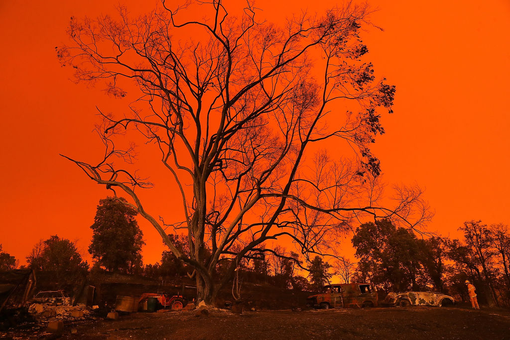 A view of cars that were destroyed by the Carr Fire on July 27, 2018 in Redding, California. (Credit: by Justin Sullivan/Getty Images)