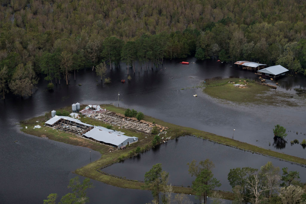 Flooding and wind damage from Hurricane Florence is seen on farmland near Half Moon, NC on September 17, 2018. (Credit: Carolyn Van Houten/The Washington Post via Getty Images)