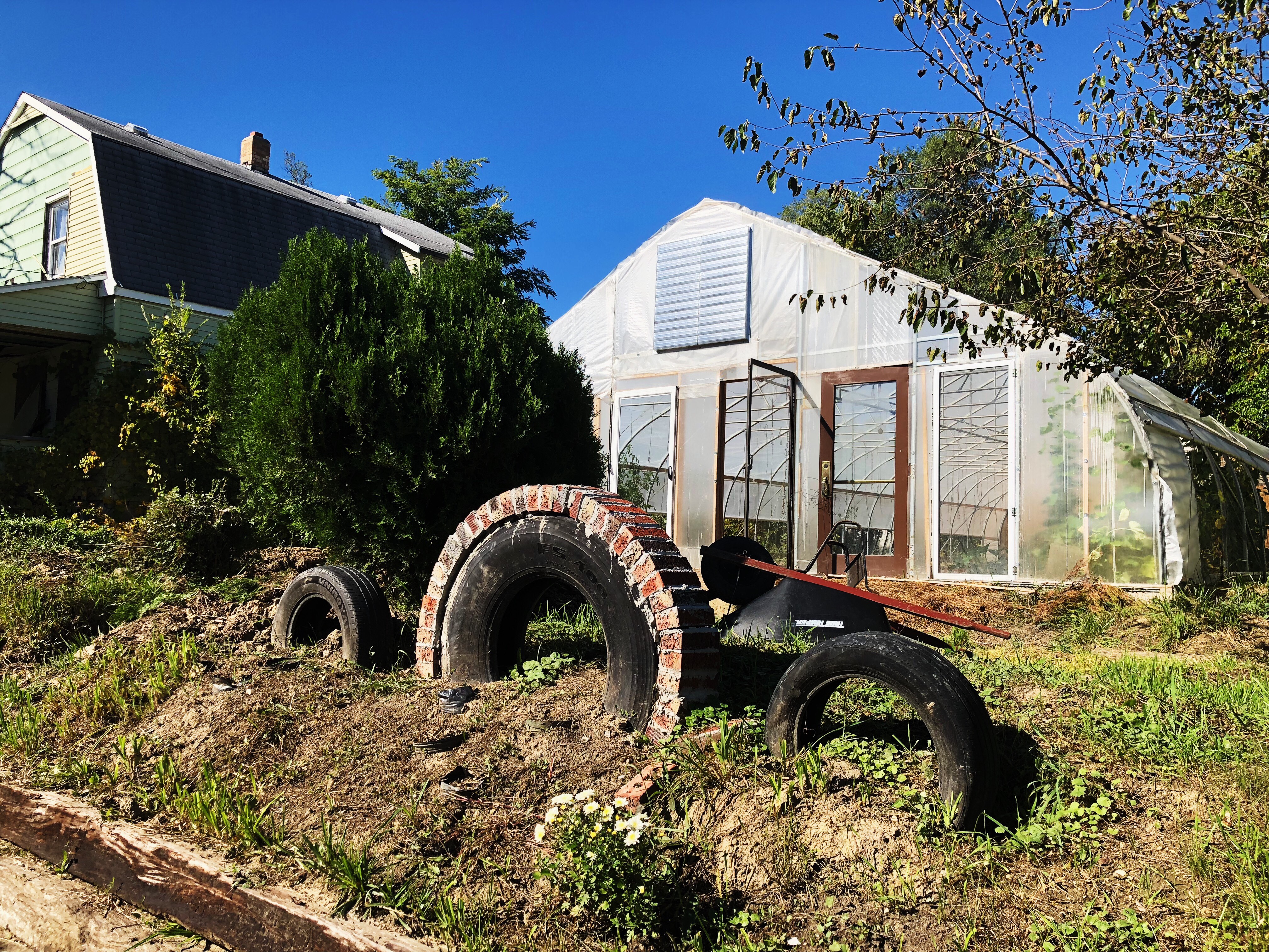 A greenhouse operated by Flint resident Mark Baldwin. CREDIT: E.A. Crunden