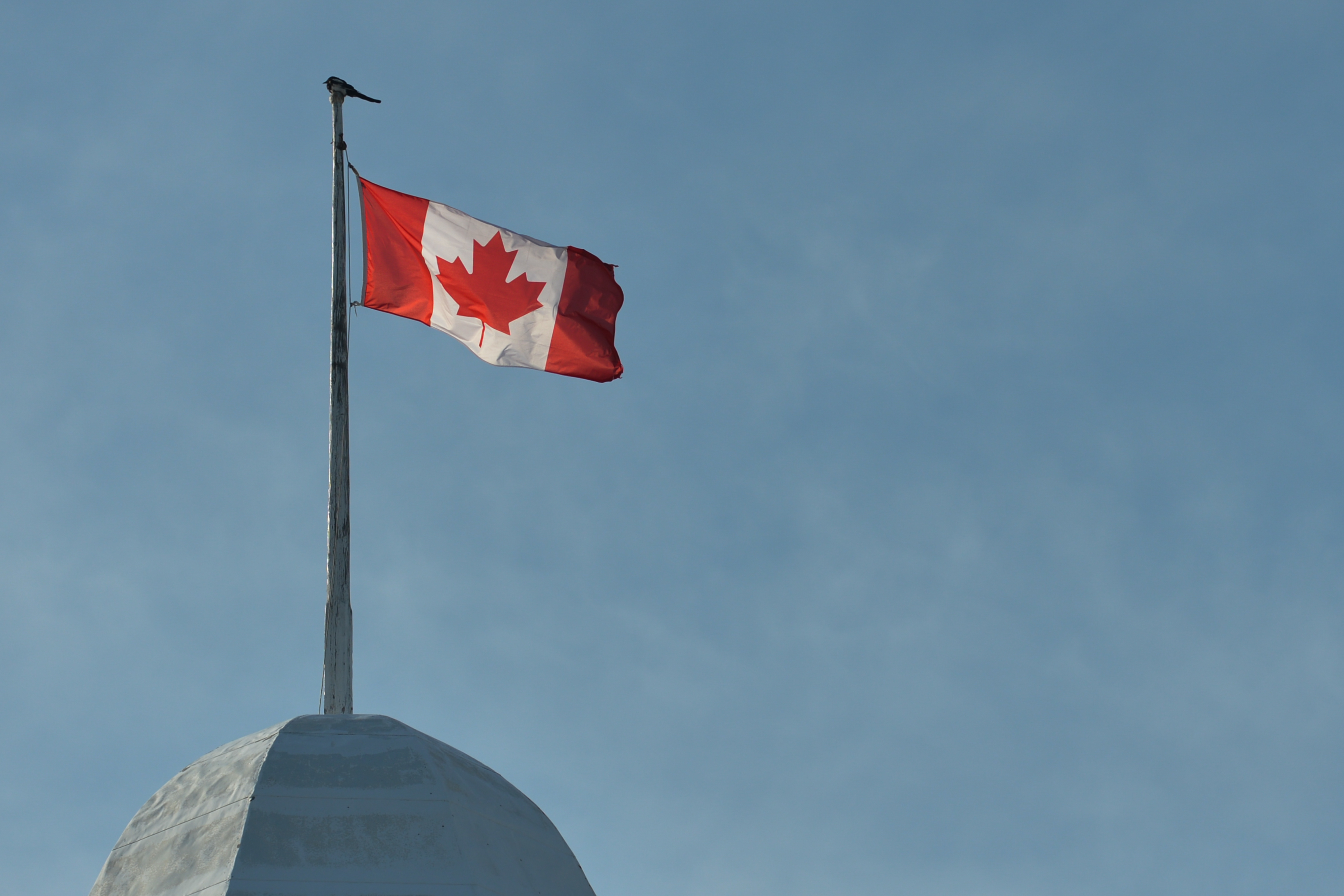 Not even a Canadian artillery captain could escape the Trump administration's draconian immigration policy. CREDIT: NURPHOTO / GETTY