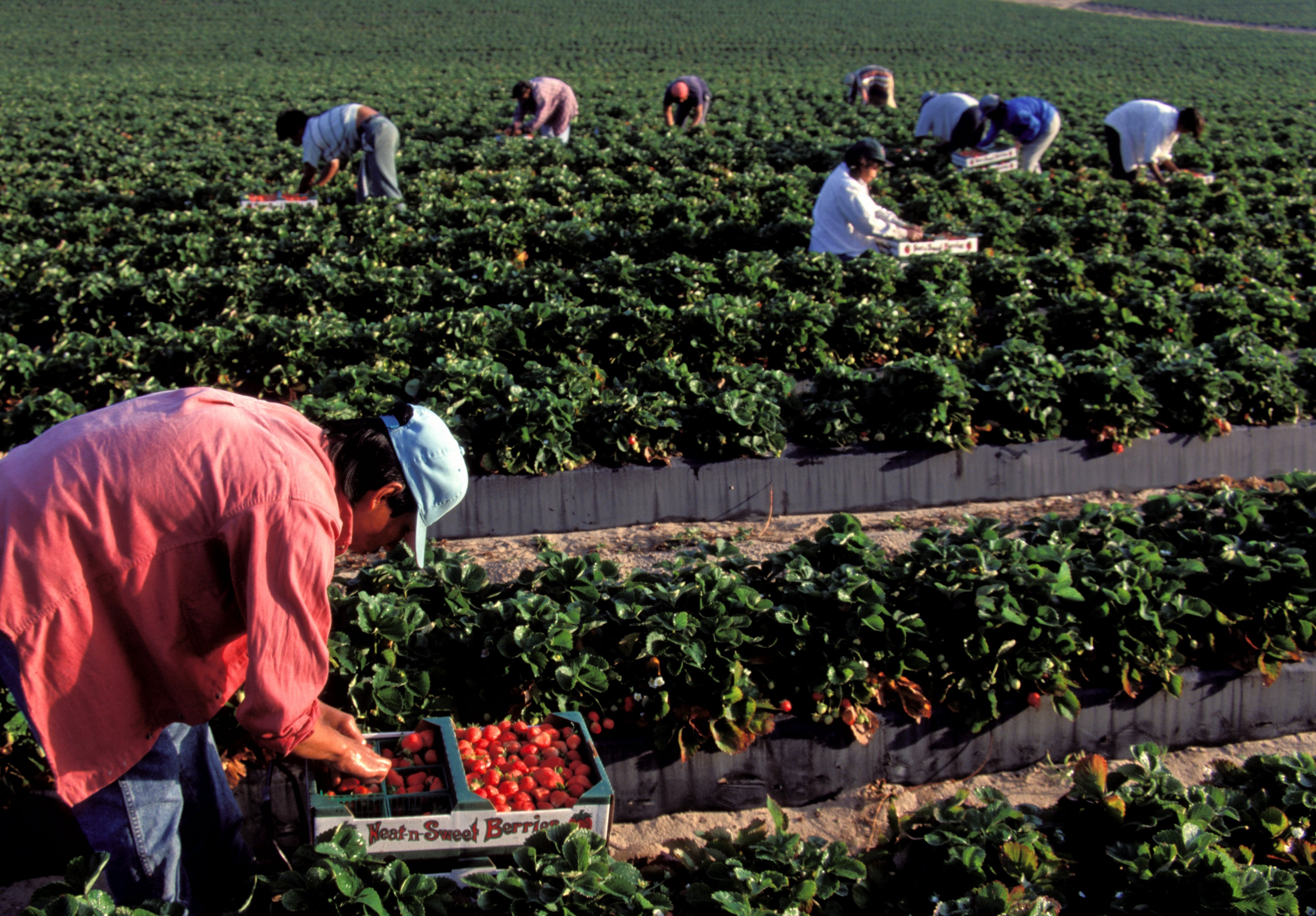 Workers in Florida. CREDIT: Jeff Greenberg/UIG via Getty Images