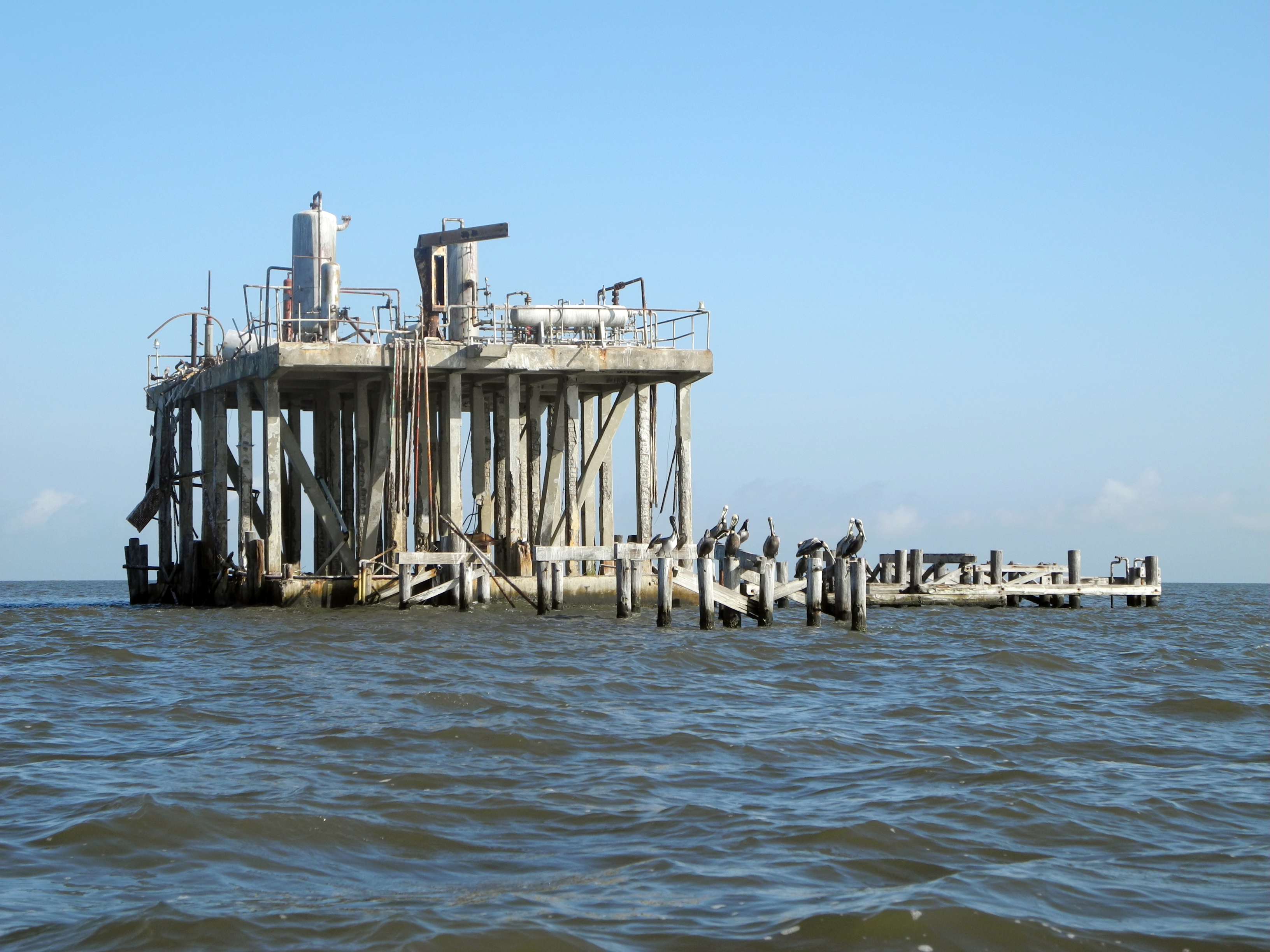 Pelicans sit on the remains of a decommissioned installation for oil and gas extraction in the Gulf of Mexico near Pointe à la Hache, USA, 8 April 2015. CREDIT: Johannes Schmitt-Tegge/picture alliance via Getty Images