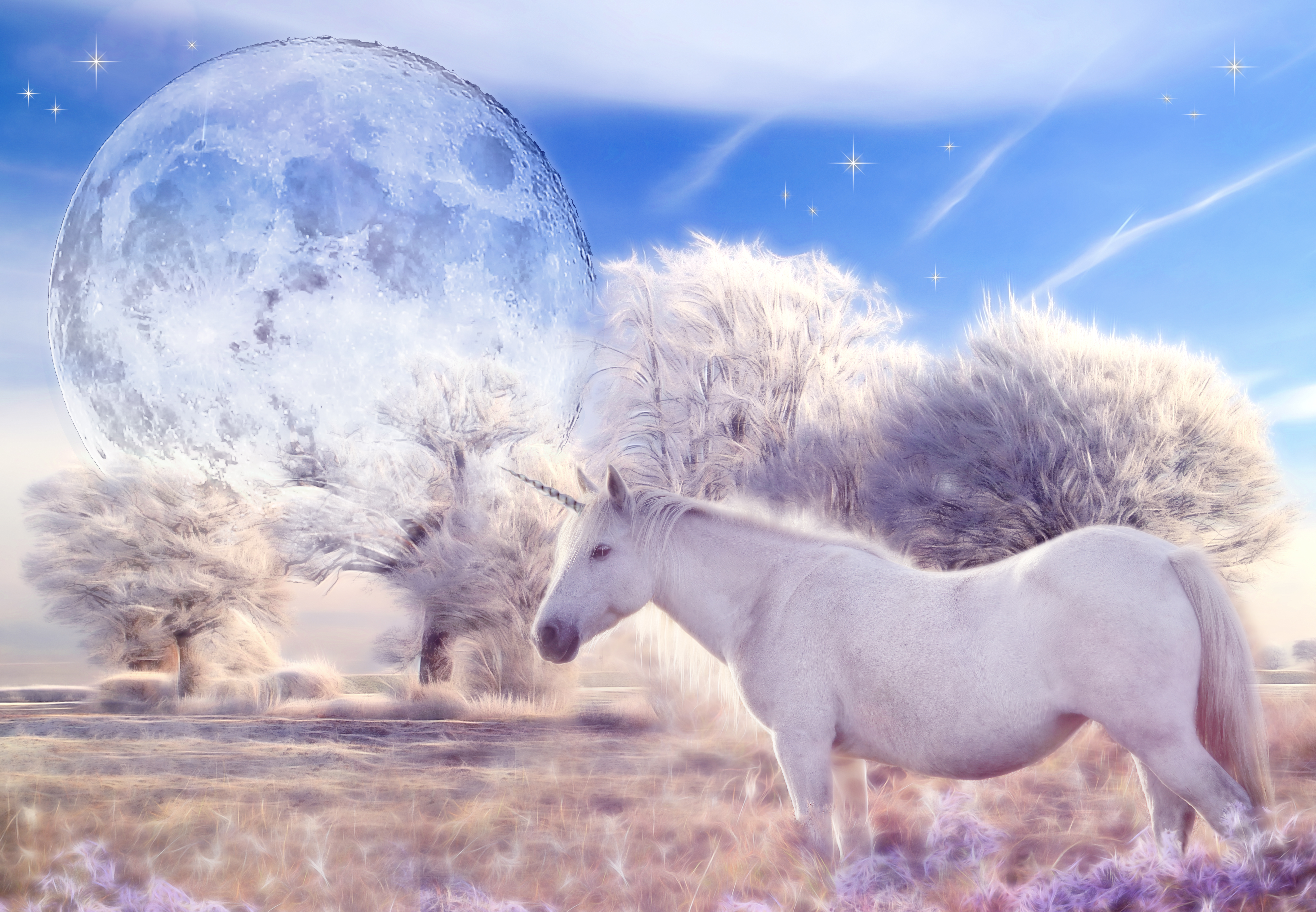 This magical unicorn is exactly as real as the legal basis for Rep. Bruce Poliquin's (R-ME) lawsuit. (CREDIT: Getty Images)